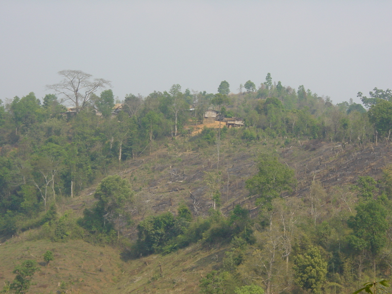 รูปถ่าย ไทย(Thailand) แม่ฮ่องสอน(Mae Hong Son) 2001-03 5