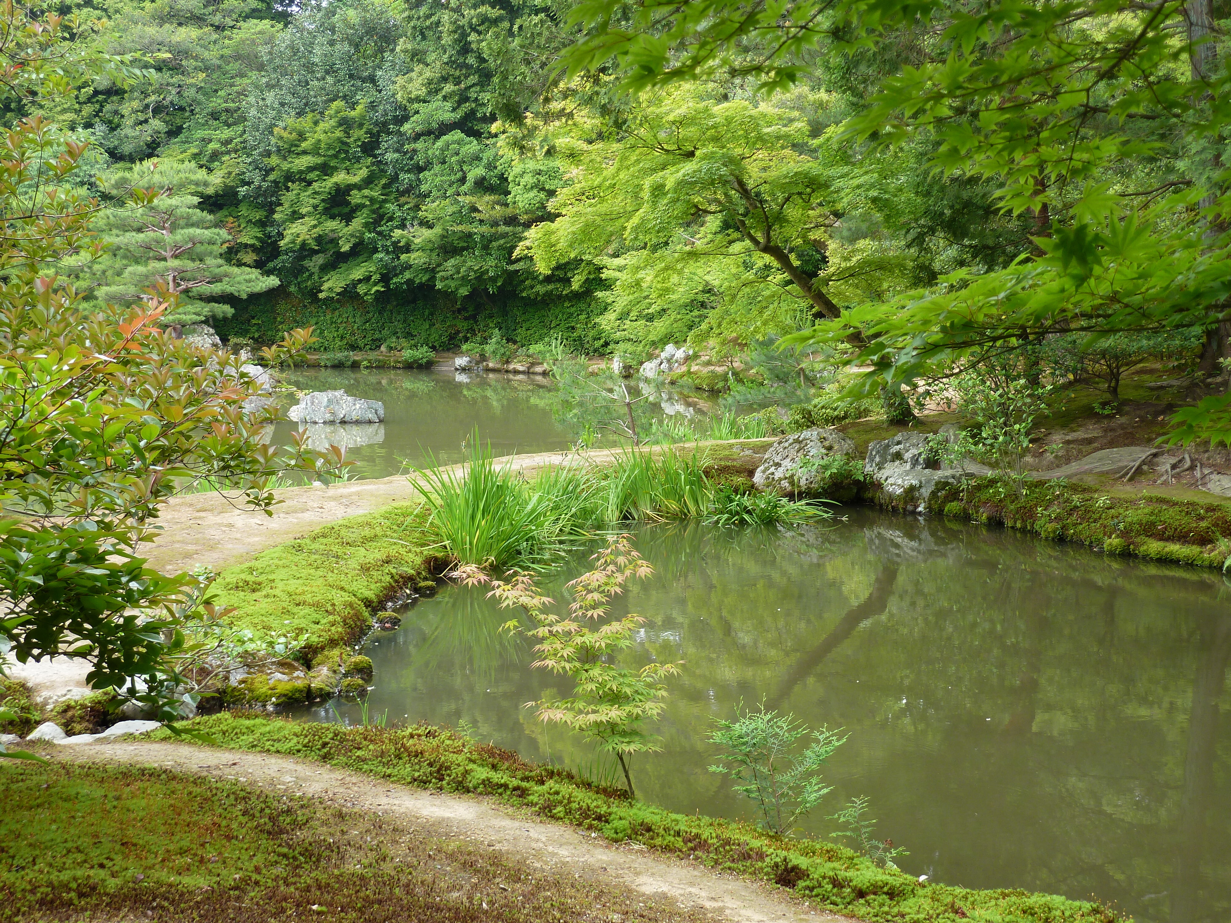 รูปถ่าย ญี่ปุ่น(Japan) เกียวโต(Kyoto) วัดคินกะกุจิ (ศาลาทอง)(Kinkakuji Temple(Golden Pavilion)) 2010-06 12