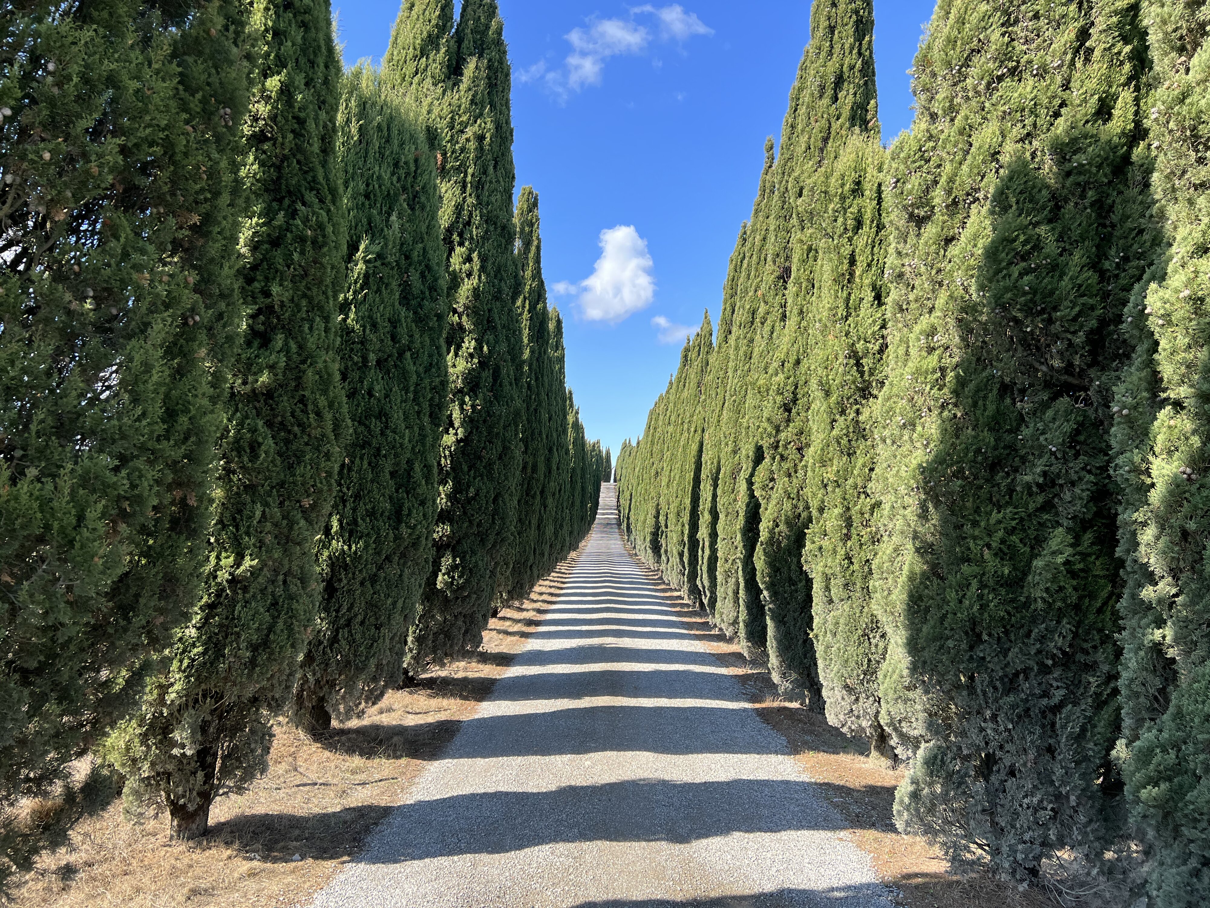 รูปถ่าย อิตาลี(Italy) ทัสคานี(Tuscany) 2021-09 20