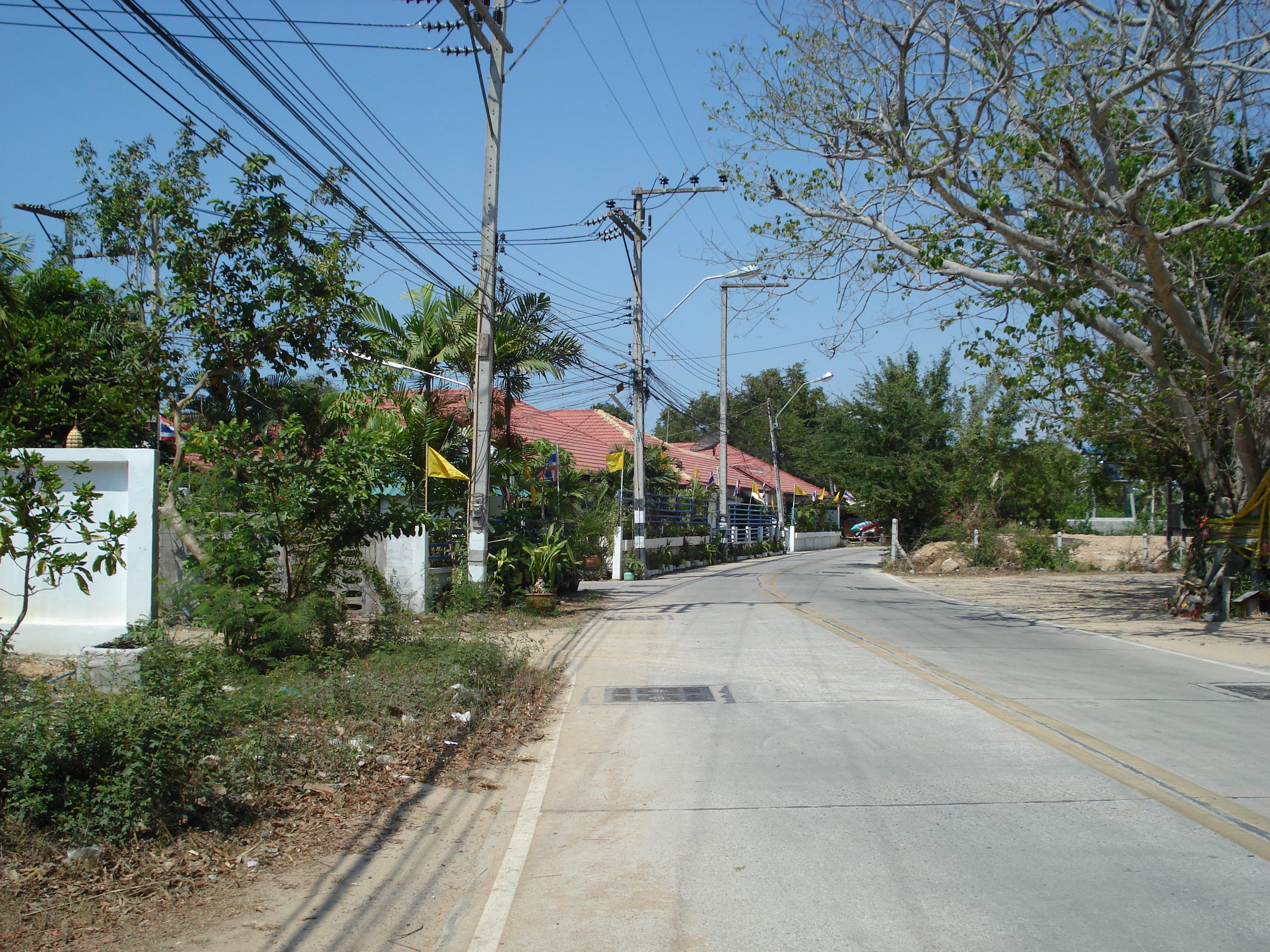 รูปถ่าย ไทย(Thailand) จอมเทียน(Jomtien) 2007-02 11