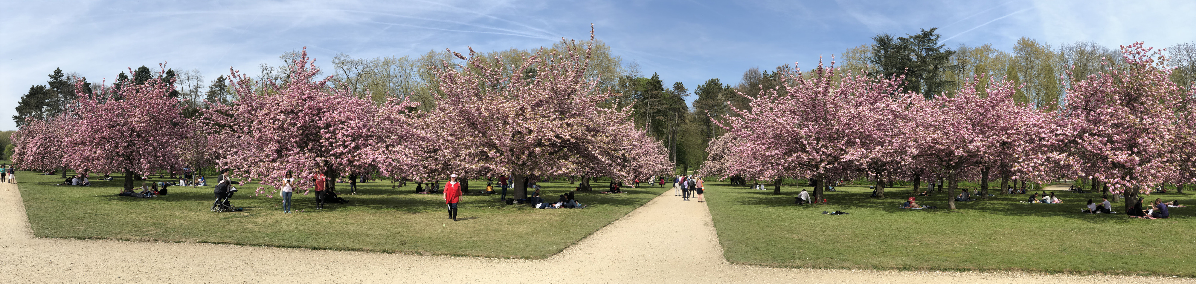 รูปถ่าย ฝรั่งเศส(France) สวนโซ(Parc de Sceaux) 2019-04 32