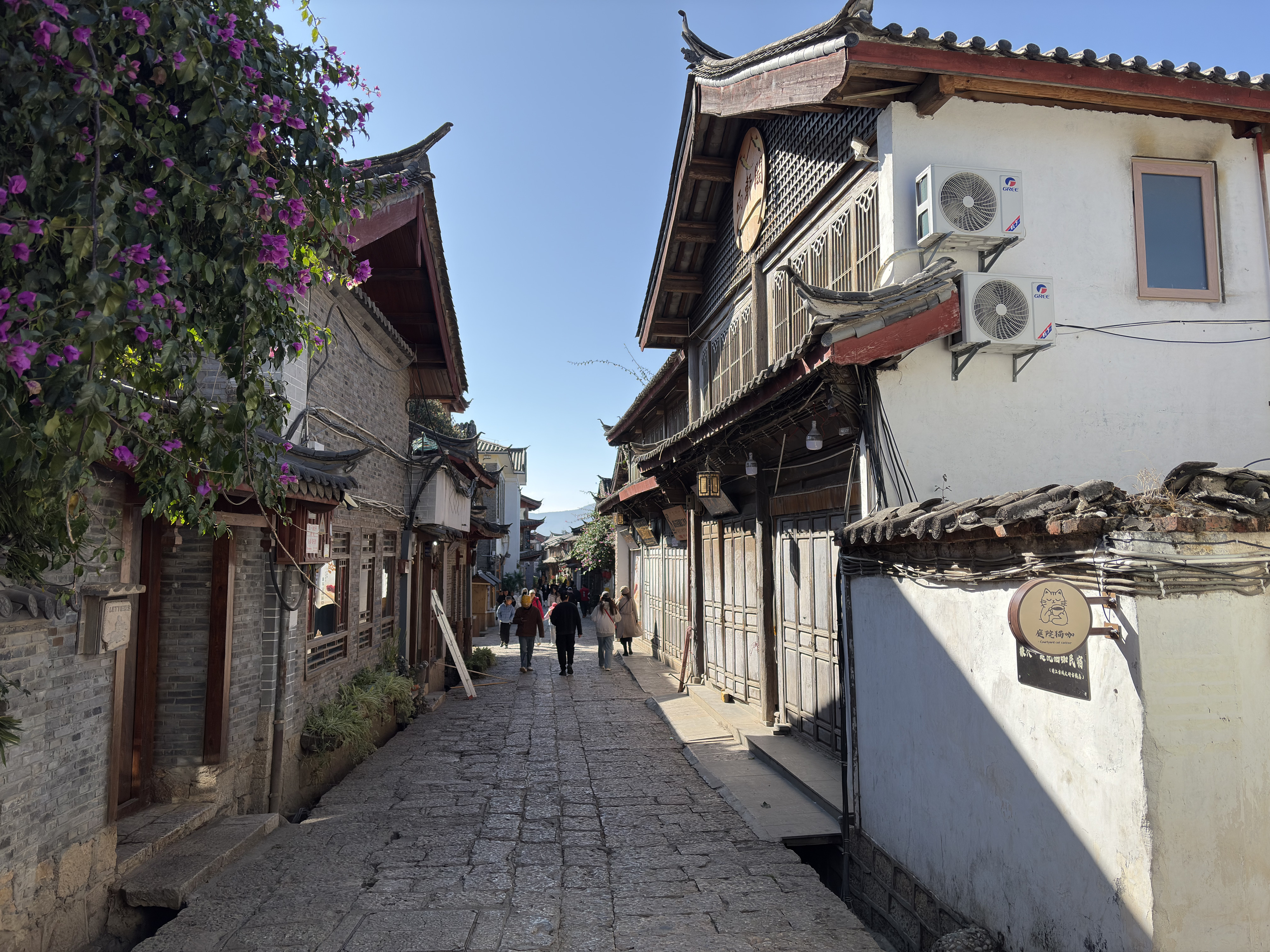รูปถ่าย จีน(China) ลี่เจียง(Lijiang) 2026-01 552
