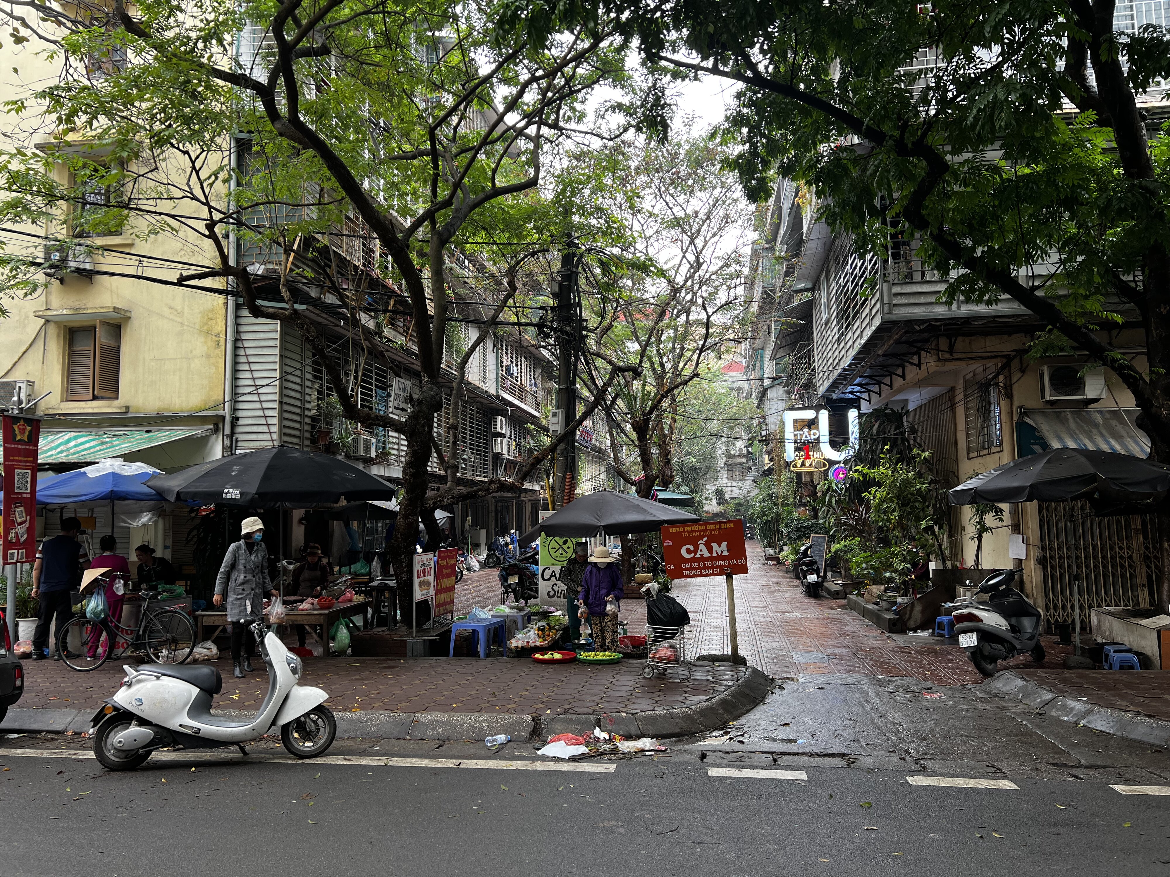 รูปถ่าย เวียดนาม(Vietnam) ฮานอย(Hanoi) 2024-01 158