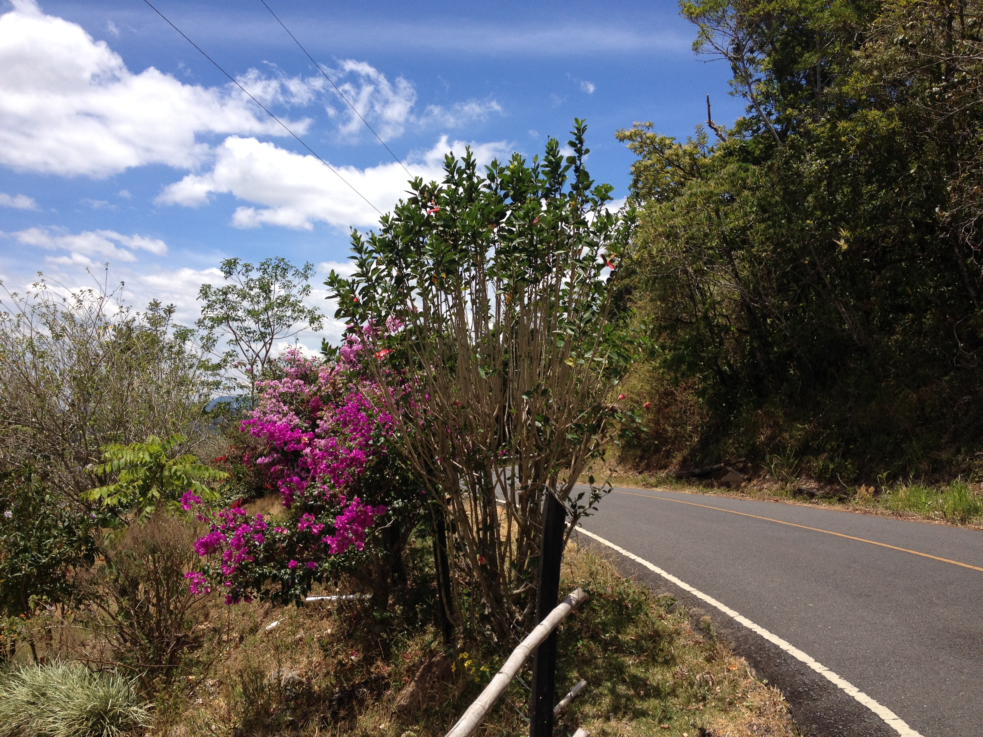 รูปถ่าย ปานามา(Panama) โบเกเต(Boquete) 2015-03 46