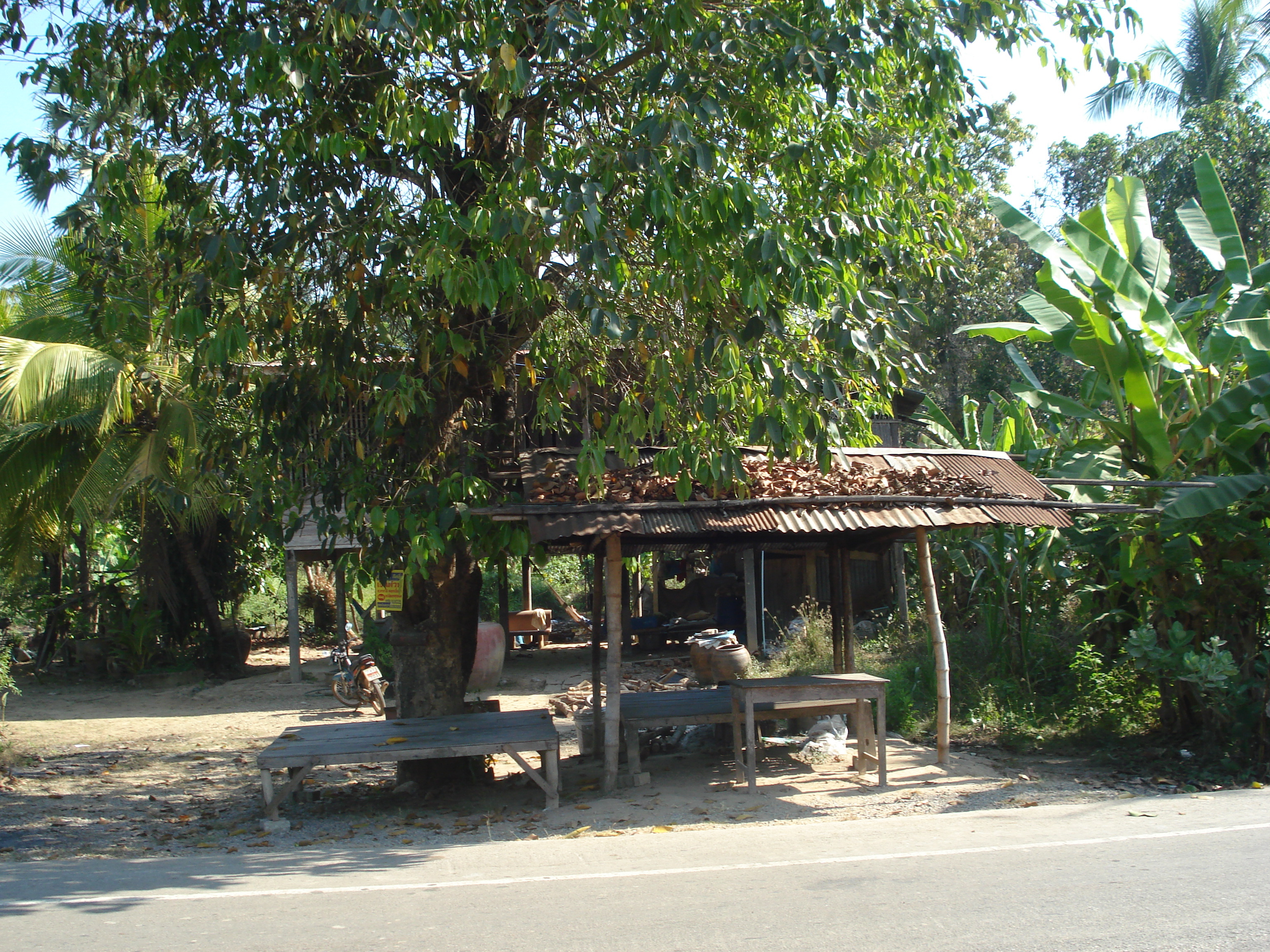 รูปถ่าย ไทย(Thailand) พิษณุโลก(Phitsanulok) 2008-01 33