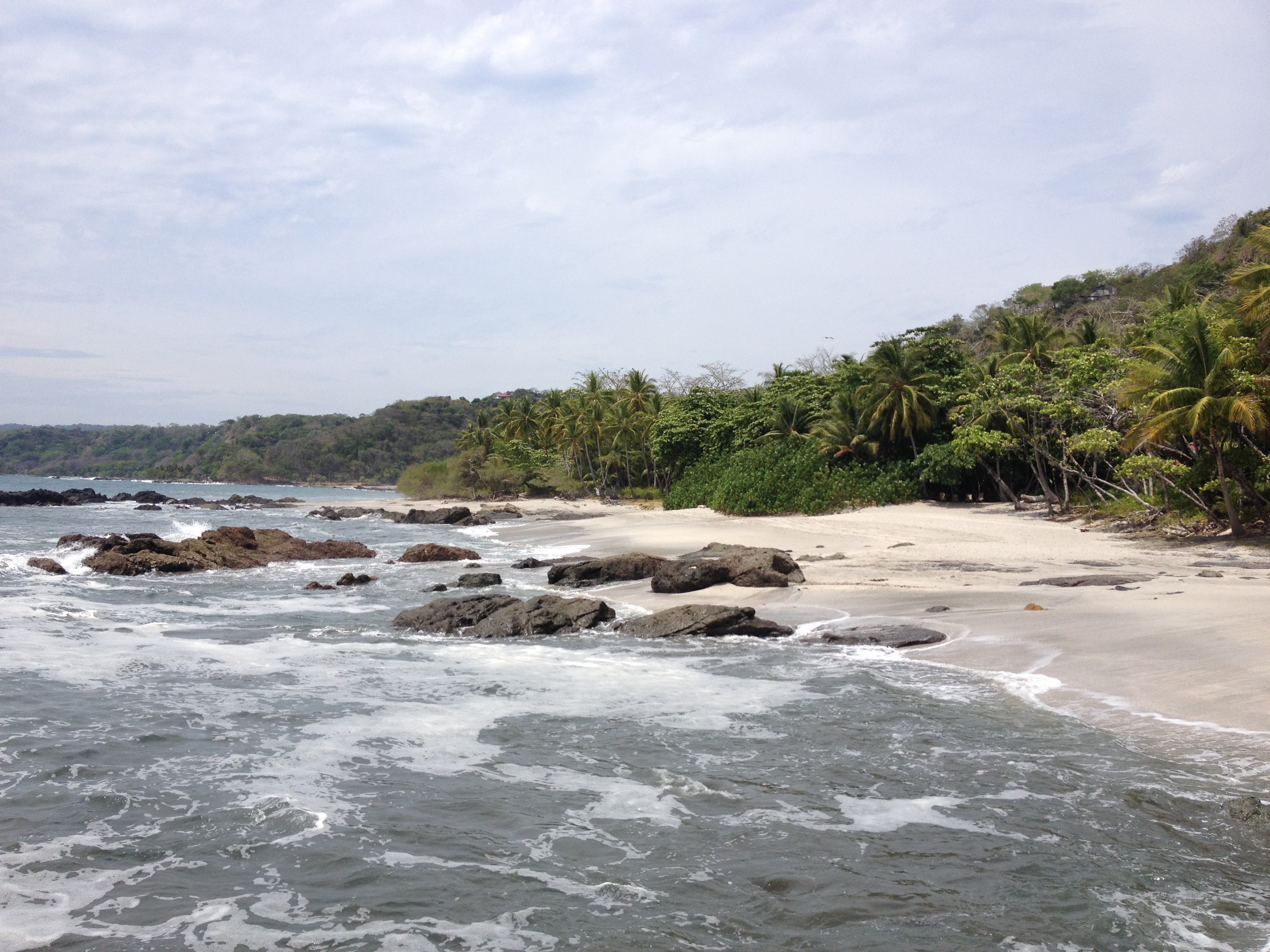 รูปถ่าย คอสตาริกา(Costa Rica) มอนเตซูมา(Montezuma) 2015-03 584