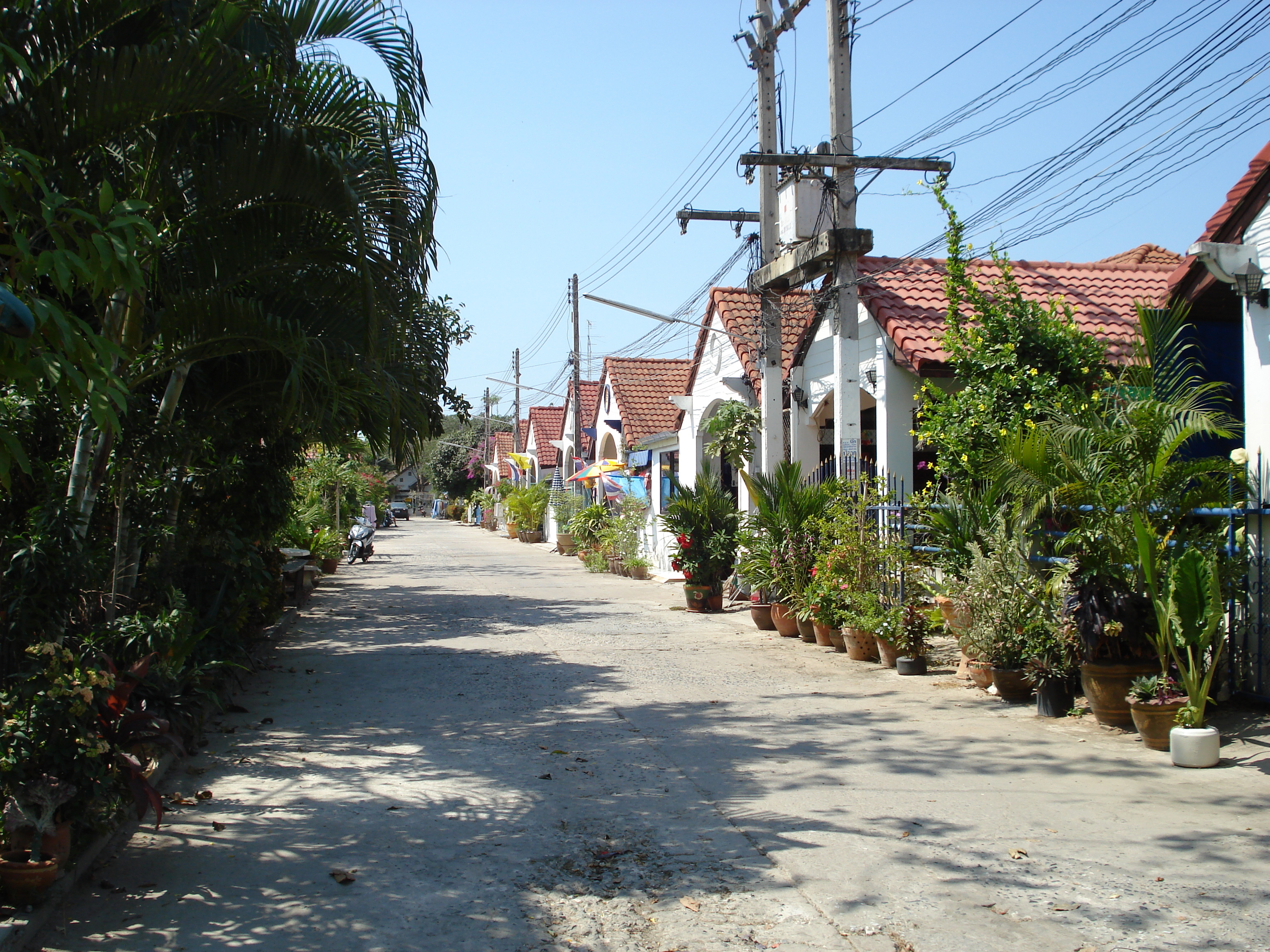 รูปถ่าย ไทย(Thailand) จอมเทียน(Jomtien) 2007-02 43