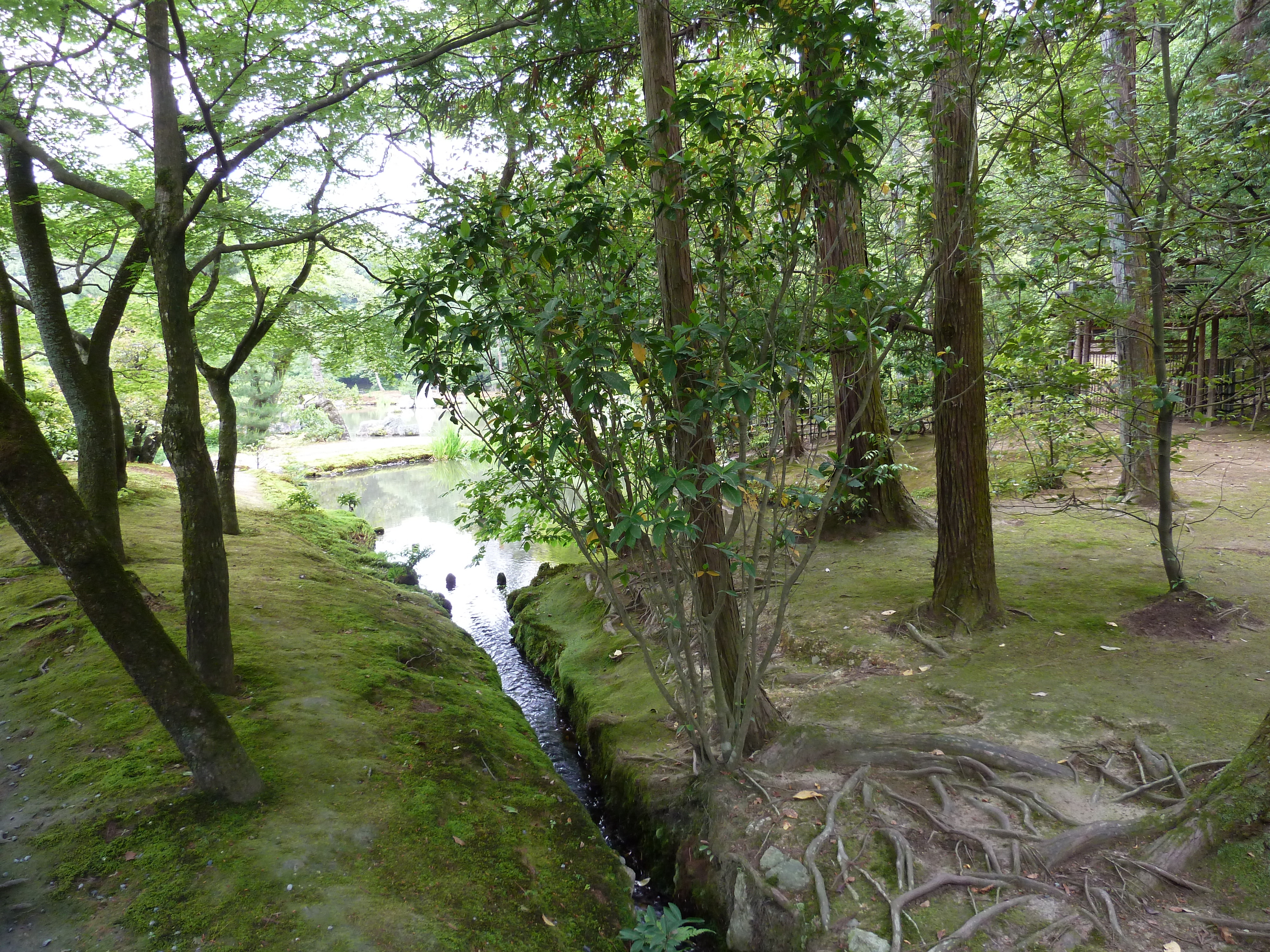 รูปถ่าย ญี่ปุ่น(Japan) เกียวโต(Kyoto) วัดคินกะกุจิ (ศาลาทอง)(Kinkakuji Temple(Golden Pavilion)) 2010-06 63