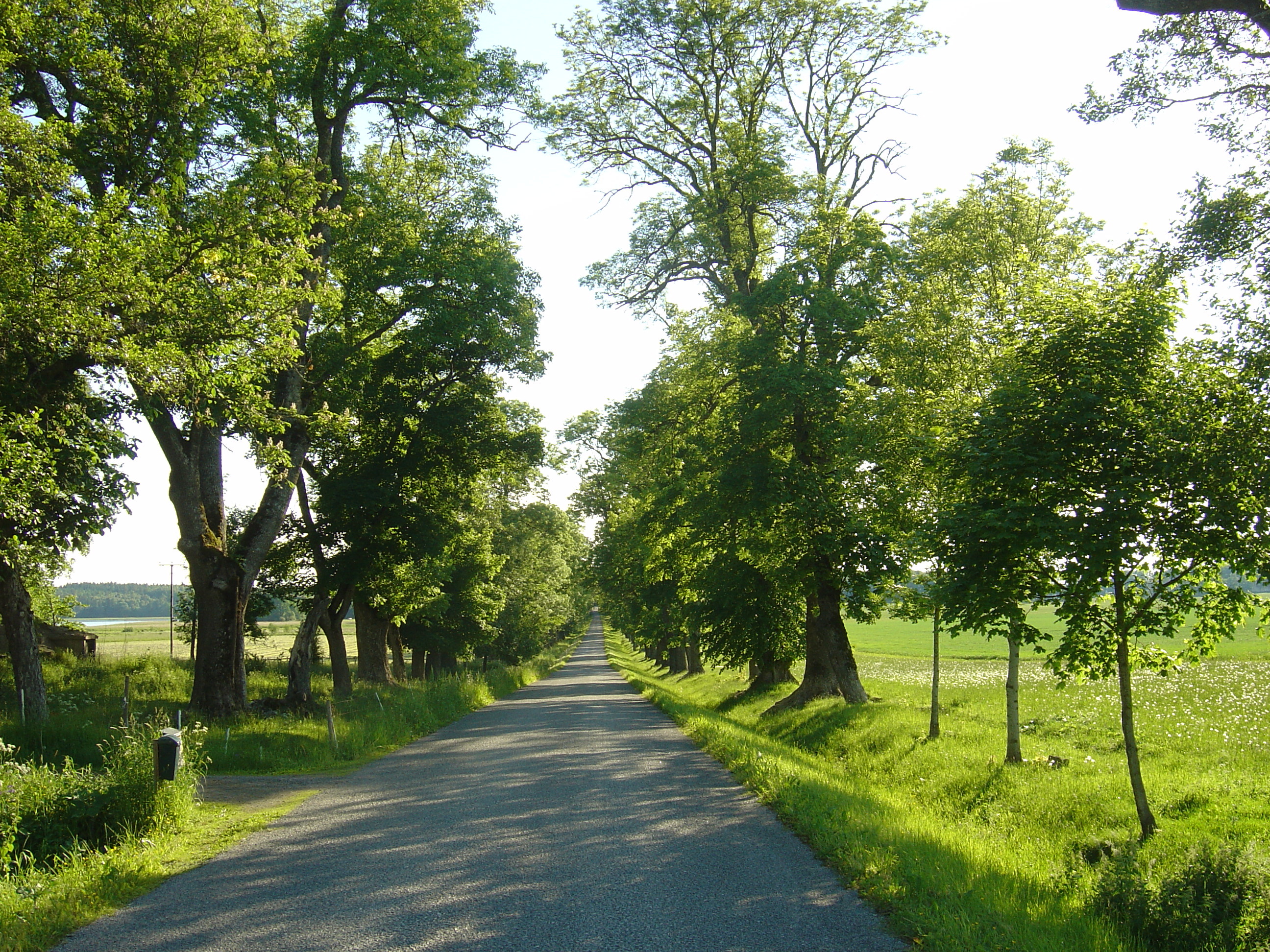 รูปถ่าย สวีเดน(Sweden) ถนนจากซิกทูนาไปอุปซอลา(Sigtuna to Uppsala road) 2005-06 10