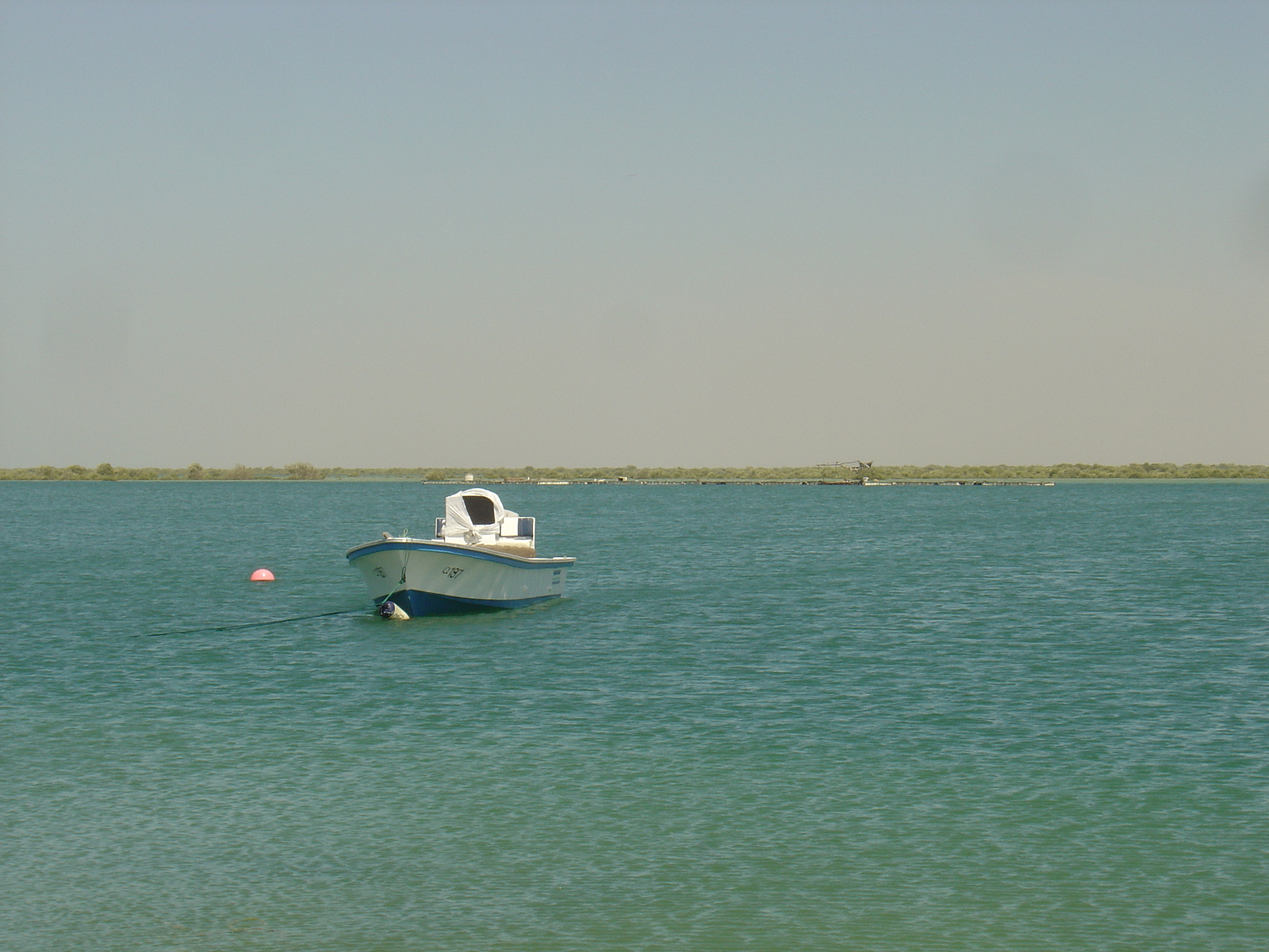 รูปถ่าย สหรัฐอาหรับเอมิเรตส์(United Arab Emirates) อุมม์อัลก็อยวัยน์(Umm al Quwain) 2005-03 16