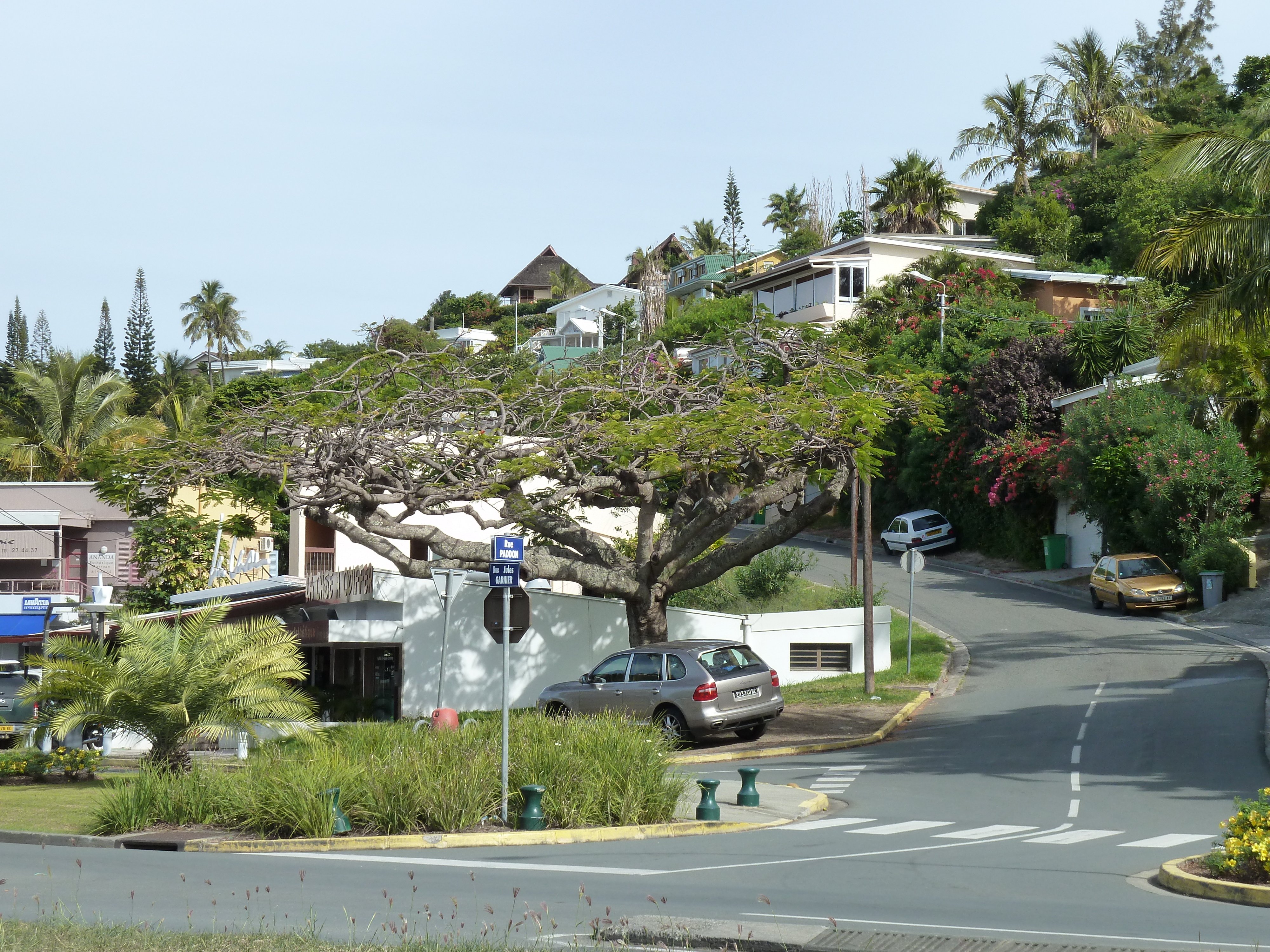 รูปถ่าย นิวแคลิโดเนีย(New Caledonia) นูเมอา(Noumea) 2010-05 30