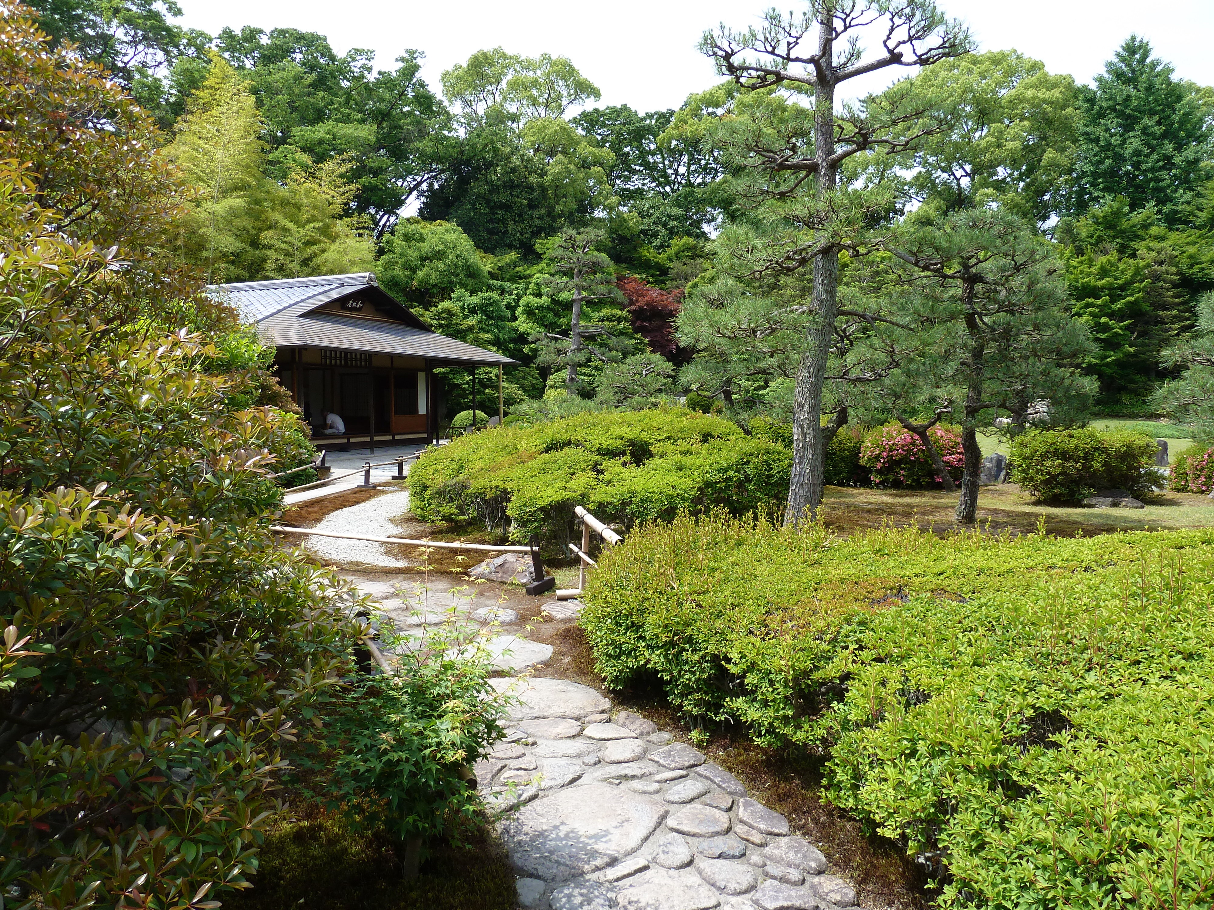 รูปถ่าย ญี่ปุ่น(Japan) เกียวโต(Kyoto) ปราสาทนิโจ(Nijo Castle) 2010-06 21