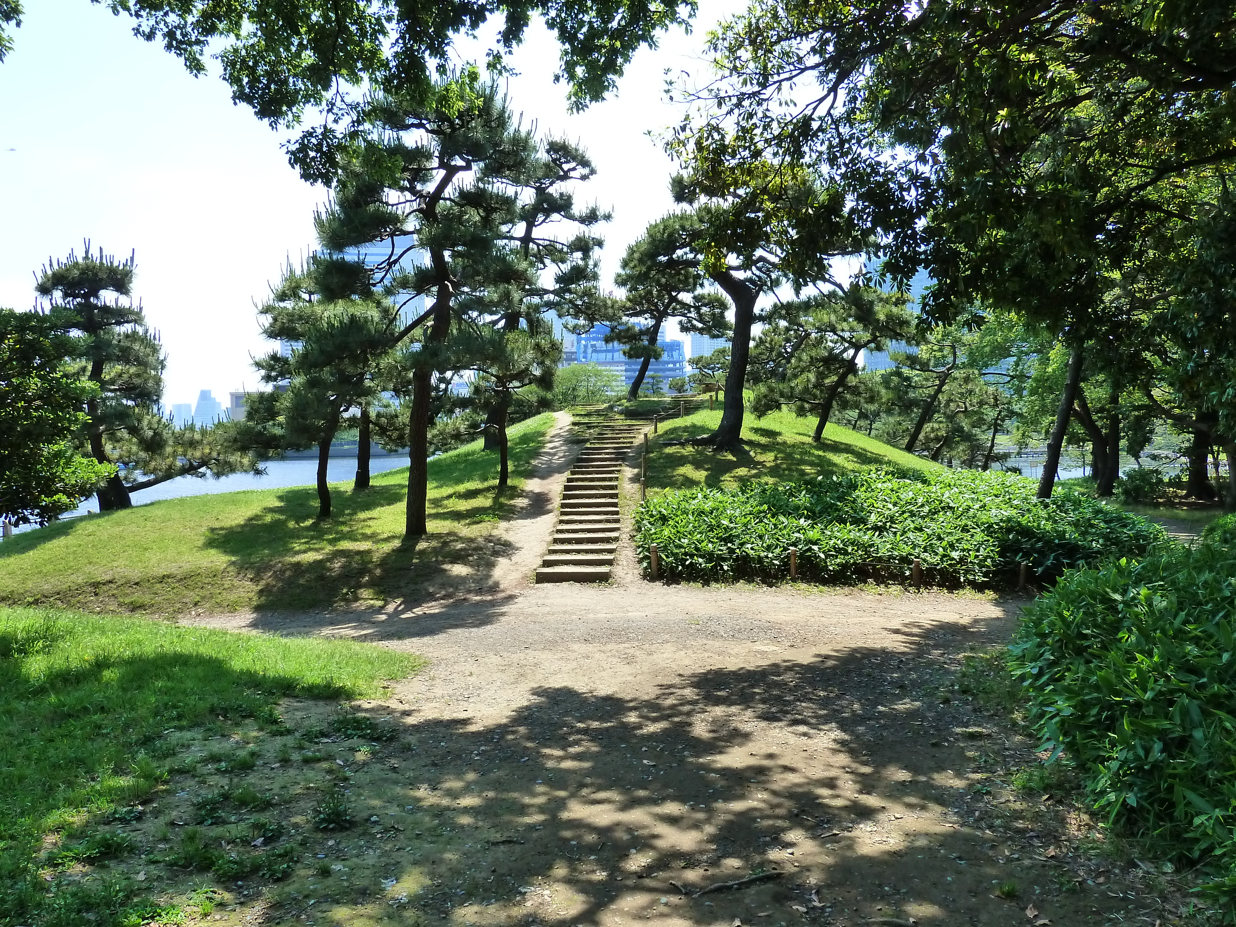 รูปถ่าย ญี่ปุ่น(Japan) โตเกียว(Tokyo) สวนฮามะริคิว(Hama rikyu Gardens) 2010-06 38