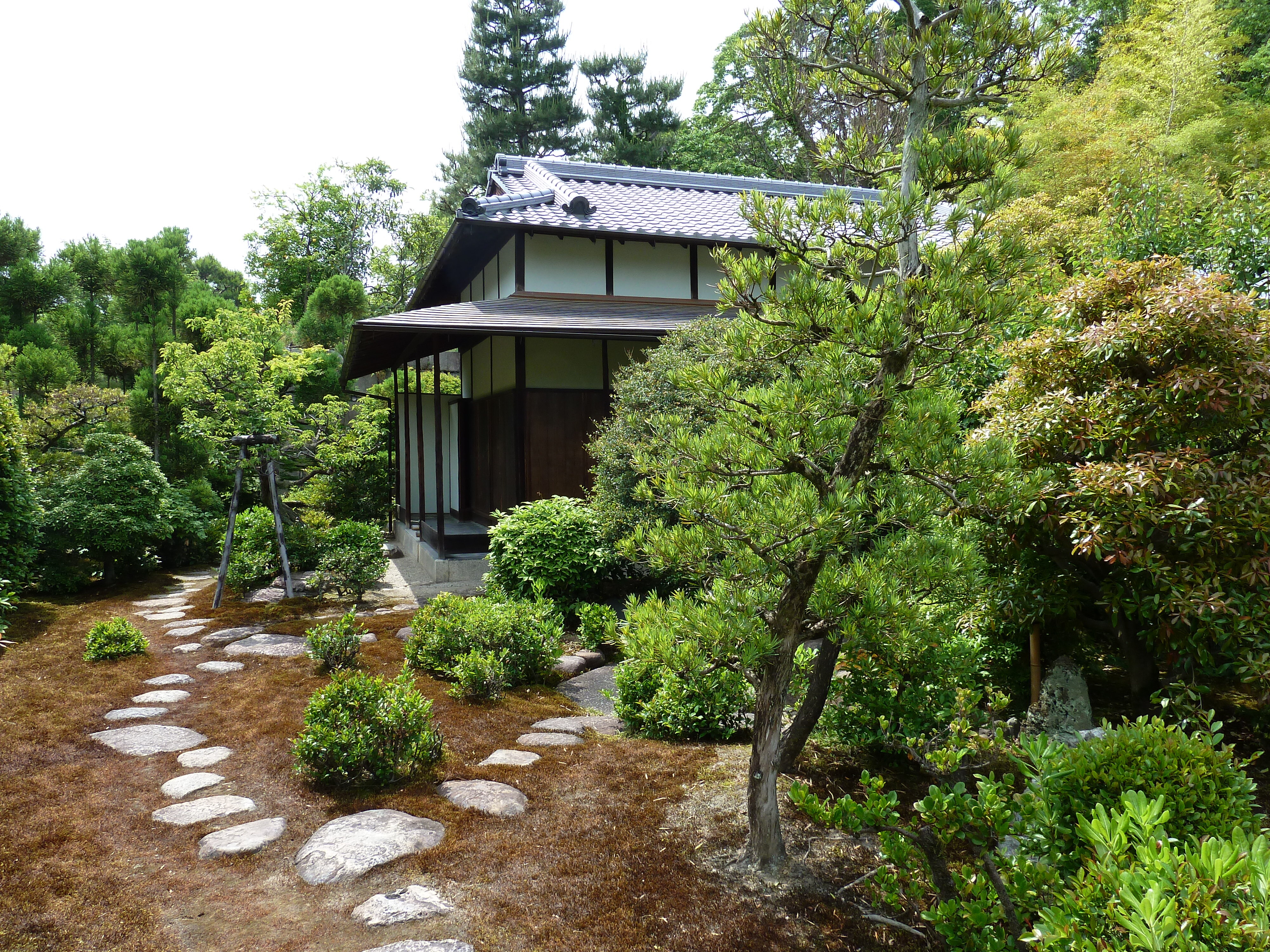 รูปถ่าย ญี่ปุ่น(Japan) เกียวโต(Kyoto) ปราสาทนิโจ(Nijo Castle) 2010-06 9