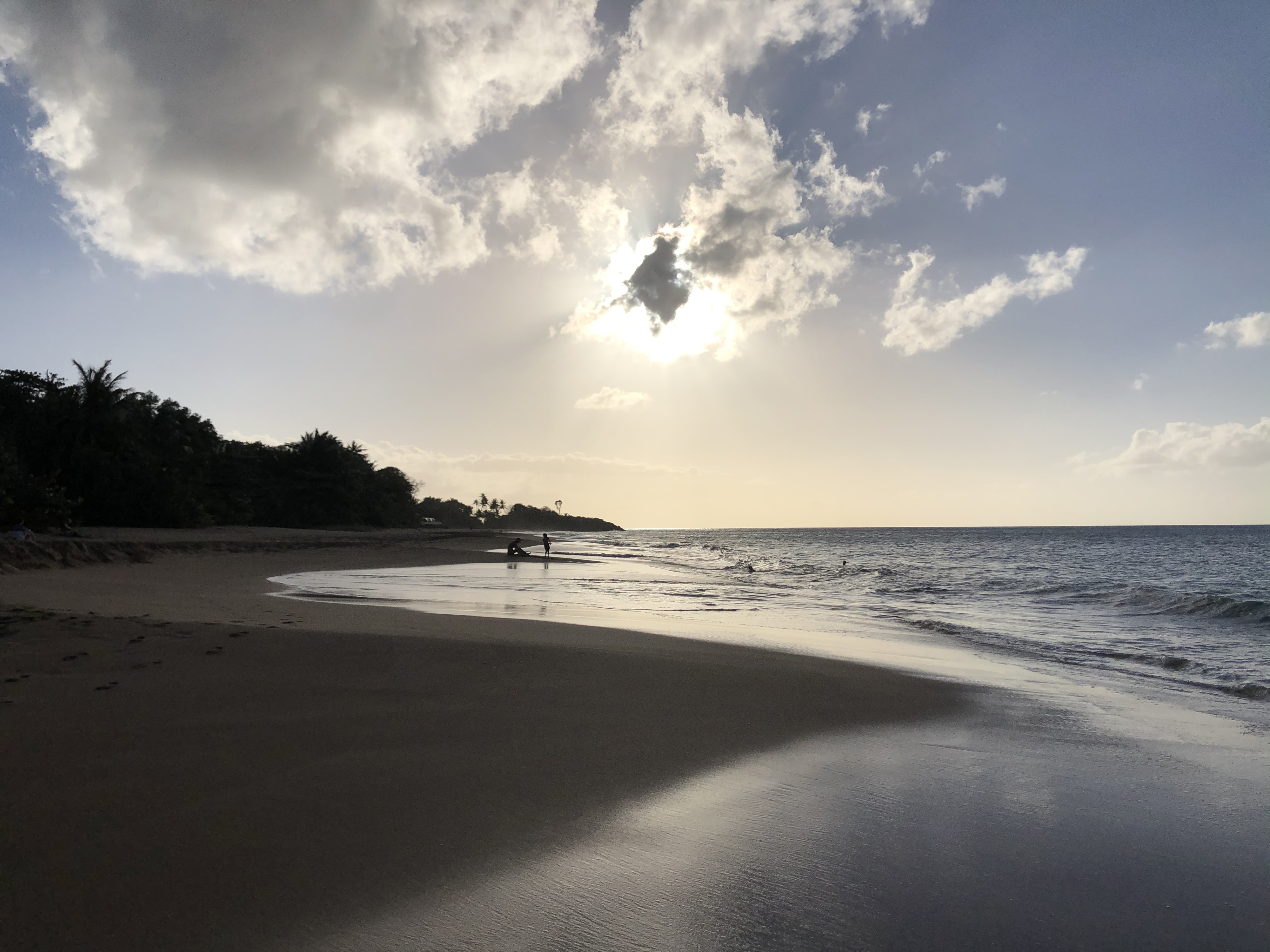 รูปถ่าย กวาเดอลูป(Guadeloupe) หาดลาแปร์ล(La Perle Beach) 2021-02 87