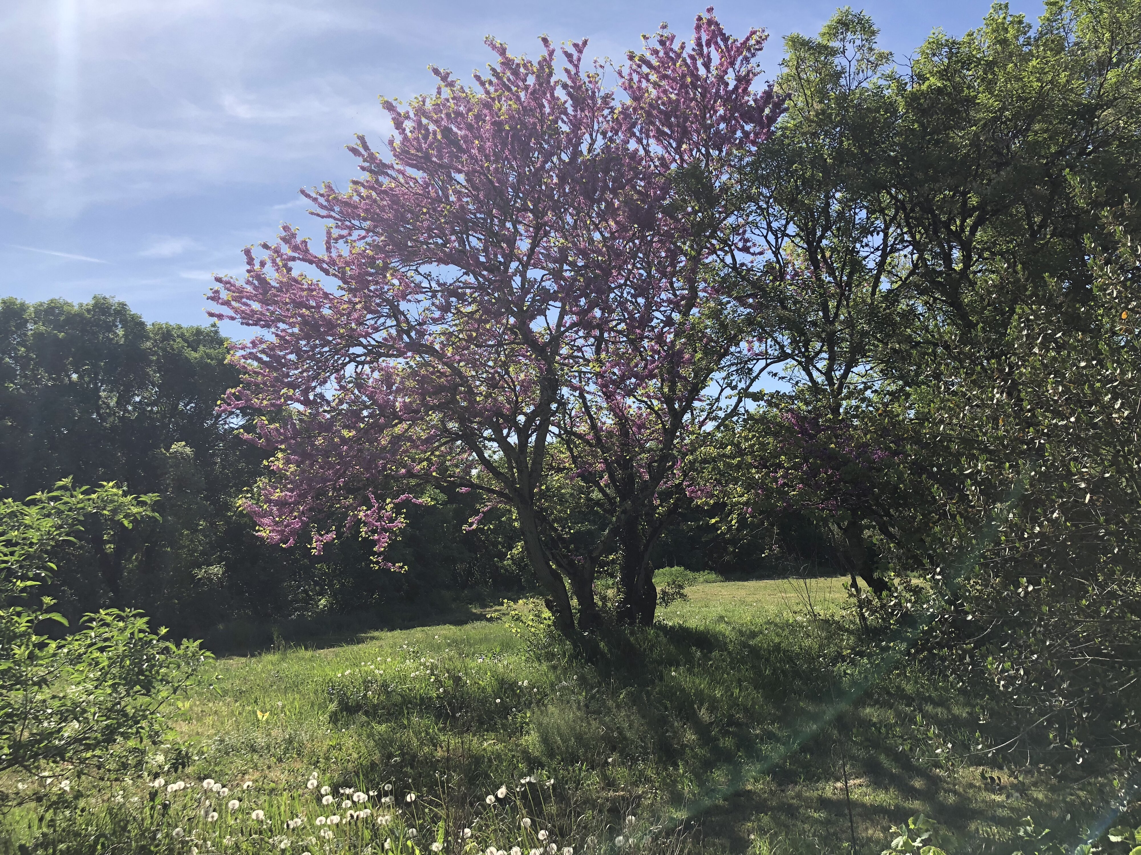 รูปถ่าย ฝรั่งเศส(France) โรกามาดูร์(Rocamadour) 2018-04 137
