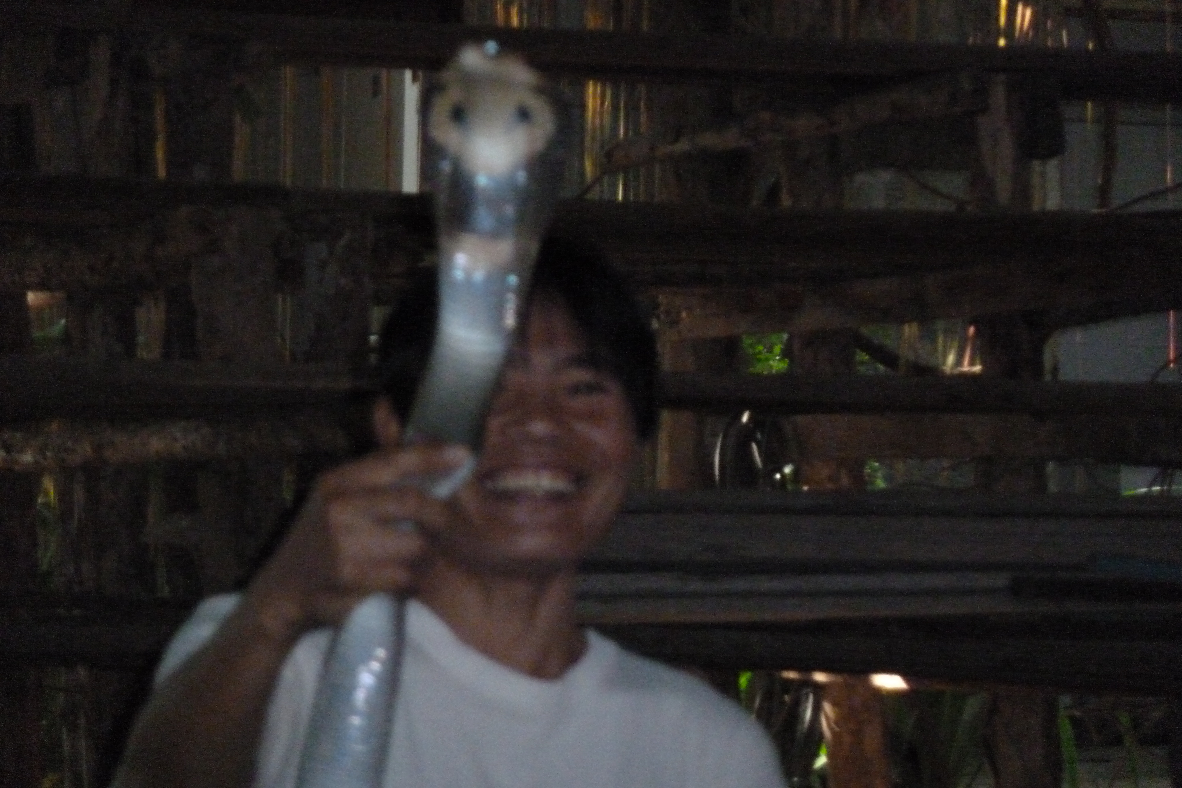 รูปถ่าย ไทย(Thailand) เชียงใหม่(Chiang Mai) ฟาร์มงูแม่สา(Mae Sa Snake Farm) 2010-12 18