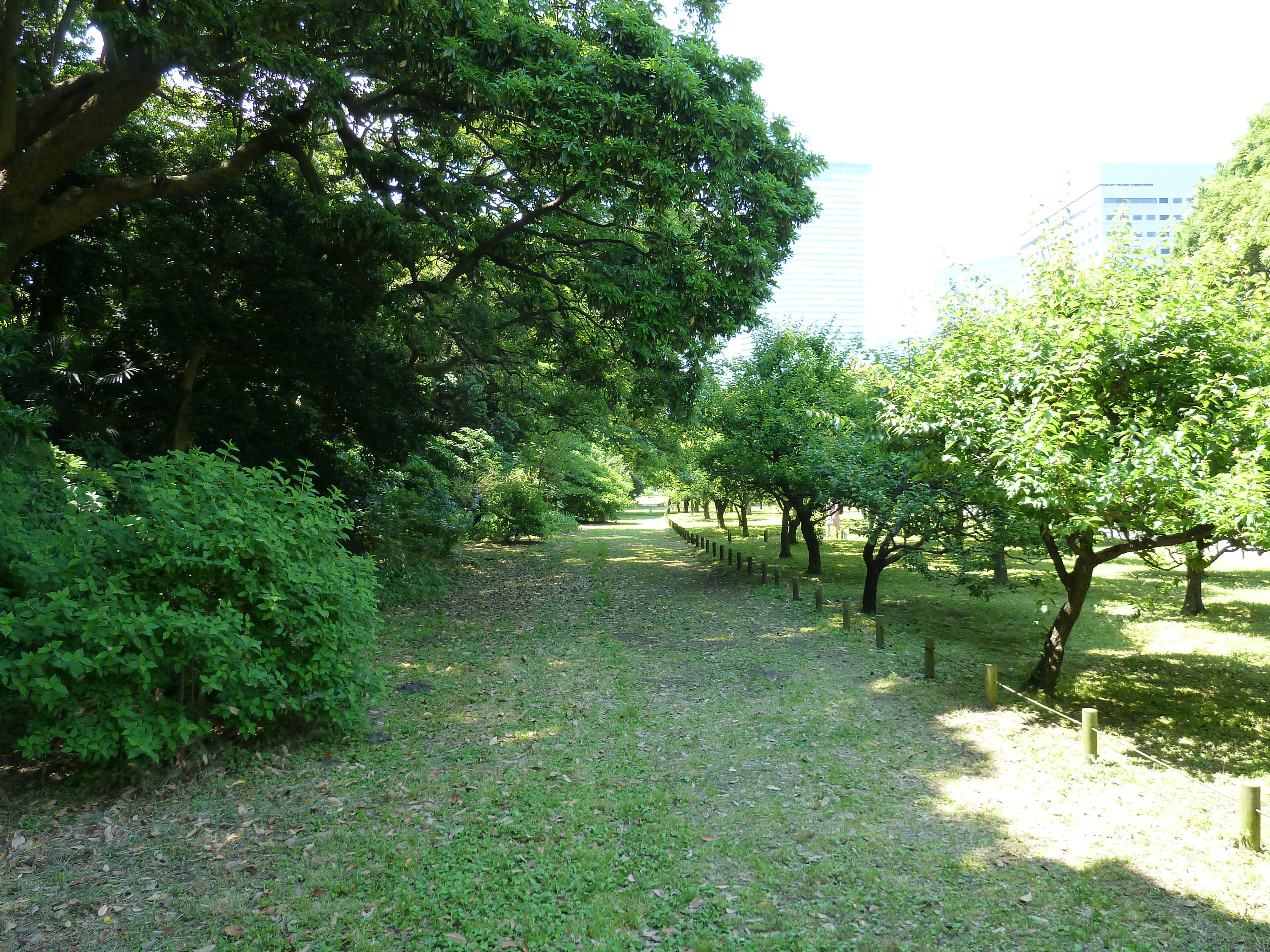 รูปถ่าย ญี่ปุ่น(Japan) โตเกียว(Tokyo) สวนฮามะริคิว(Hama rikyu Gardens) 2010-06 14