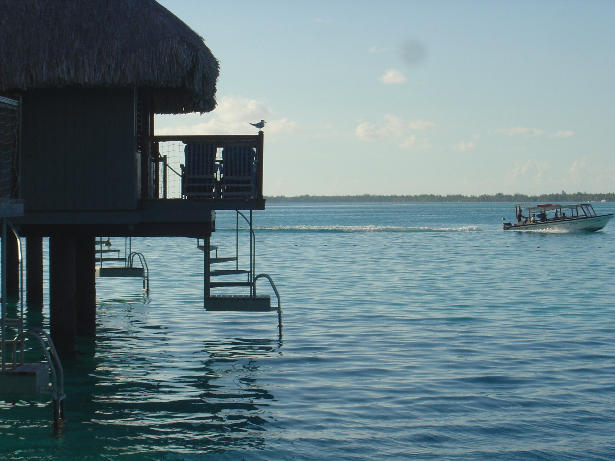 รูปถ่าย เฟรนช์โพลี่นีเซีย(Polynesia) โรงแรมเลอเมอริเดียน โบราโบรา(Meridien Bora Bora Hotel) 2006-04 186