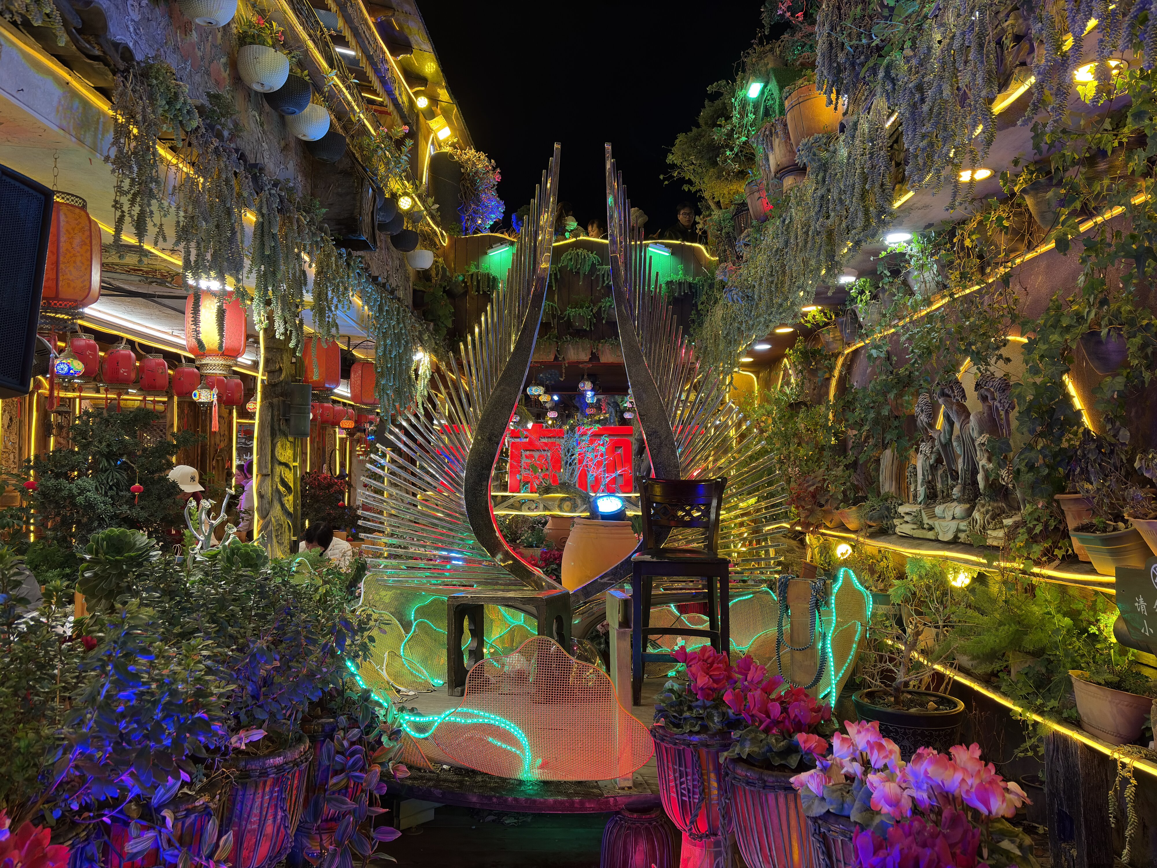 รูปถ่าย จีน(China) ลี่เจียง(Lijiang) 2026-01 563