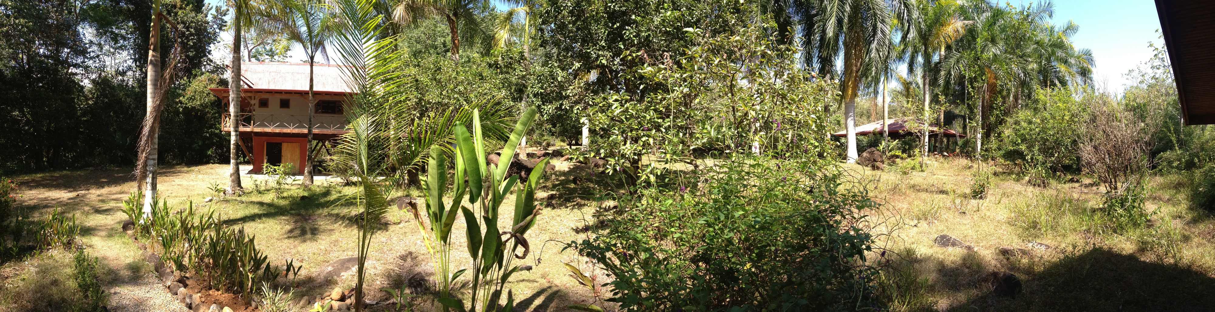 รูปถ่าย คอสตาริกา(Costa Rica) อูบีตา(Uvita) 2015-03 86