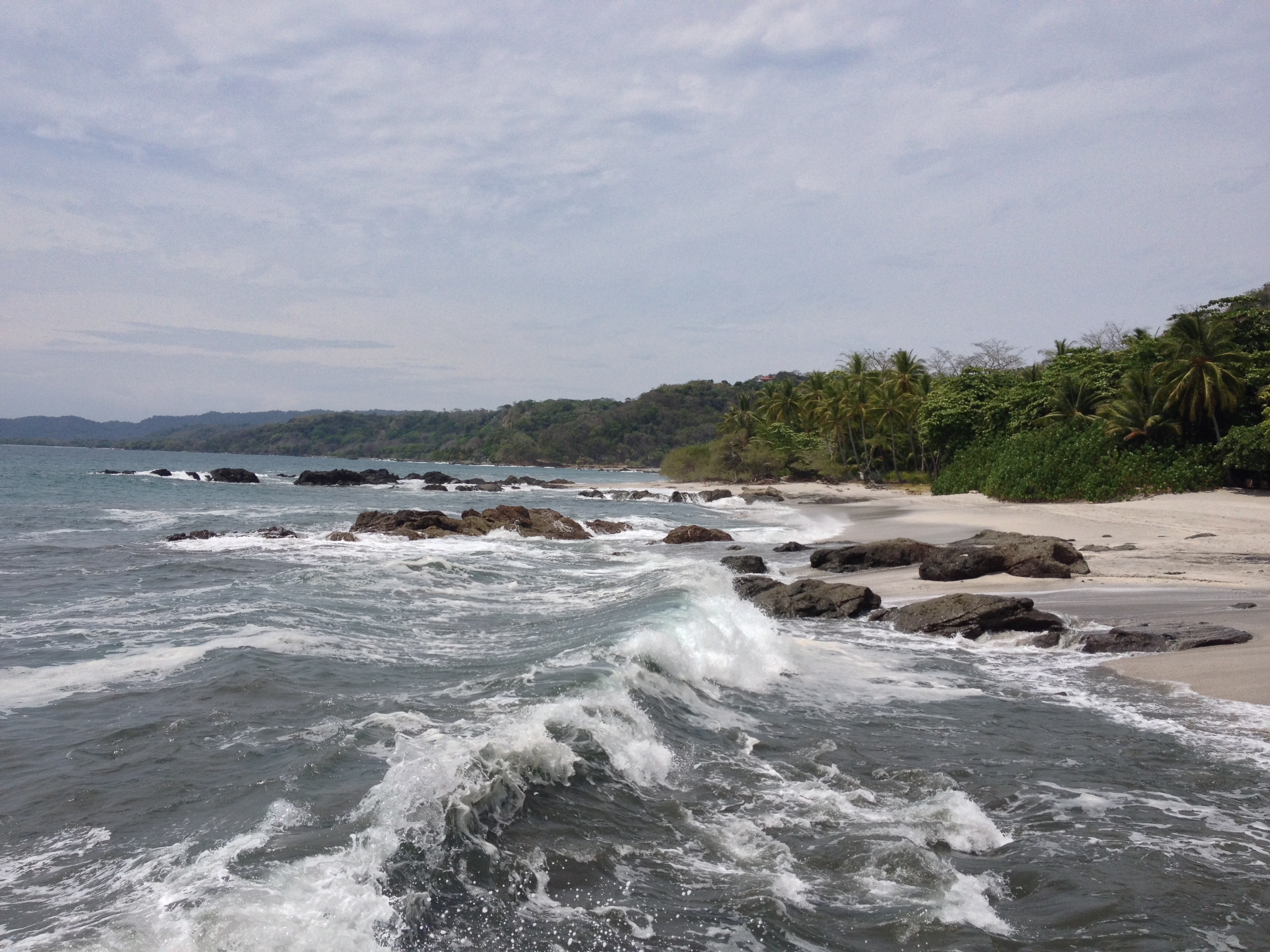 รูปถ่าย คอสตาริกา(Costa Rica) มอนเตซูมา(Montezuma) 2015-03 614