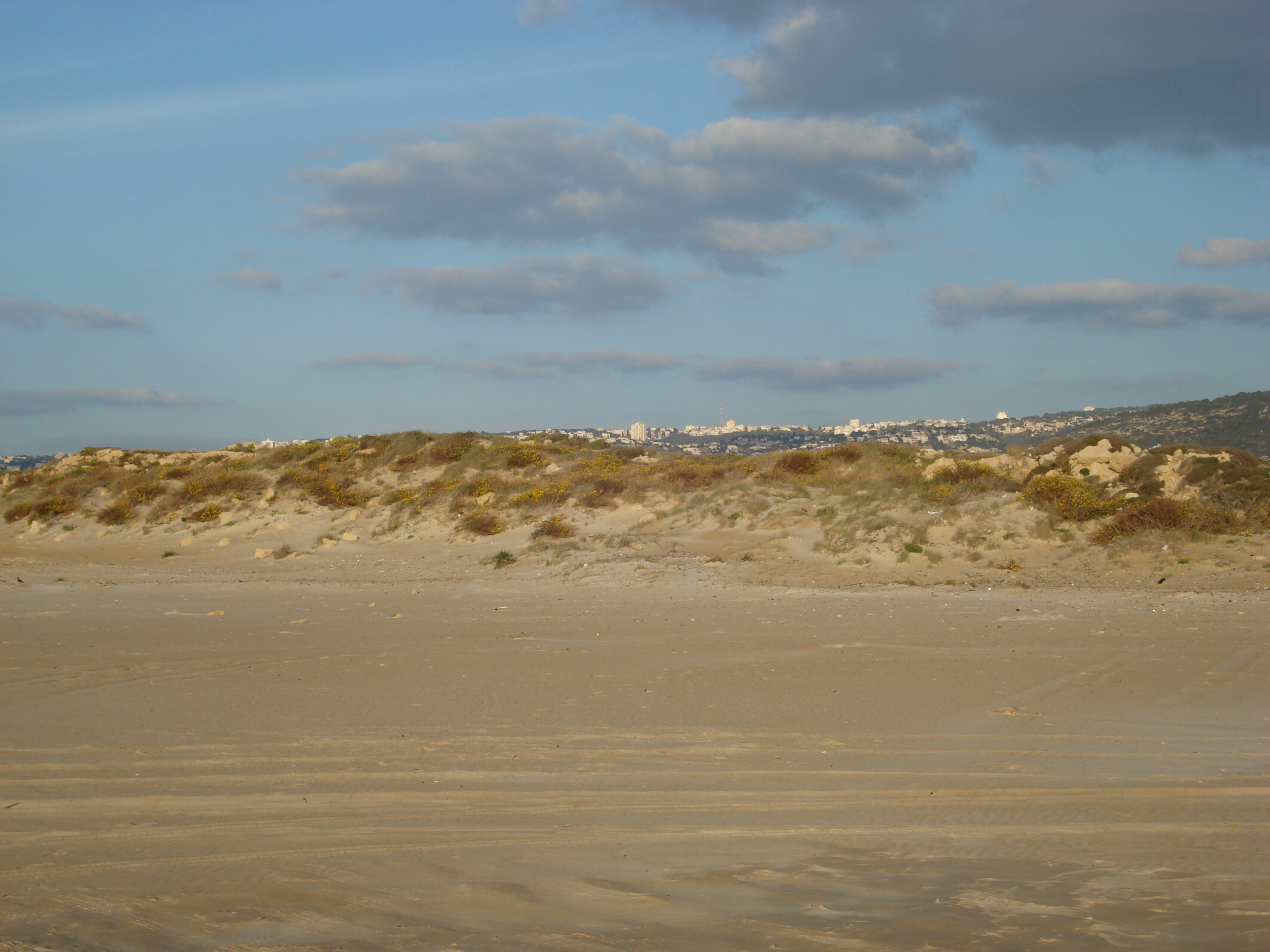 รูปถ่าย อิสราเอล(Israel) จากไฮฟาไปเทลอาวีฟ(From Haifa to Tel Aviv) 2006-12 59