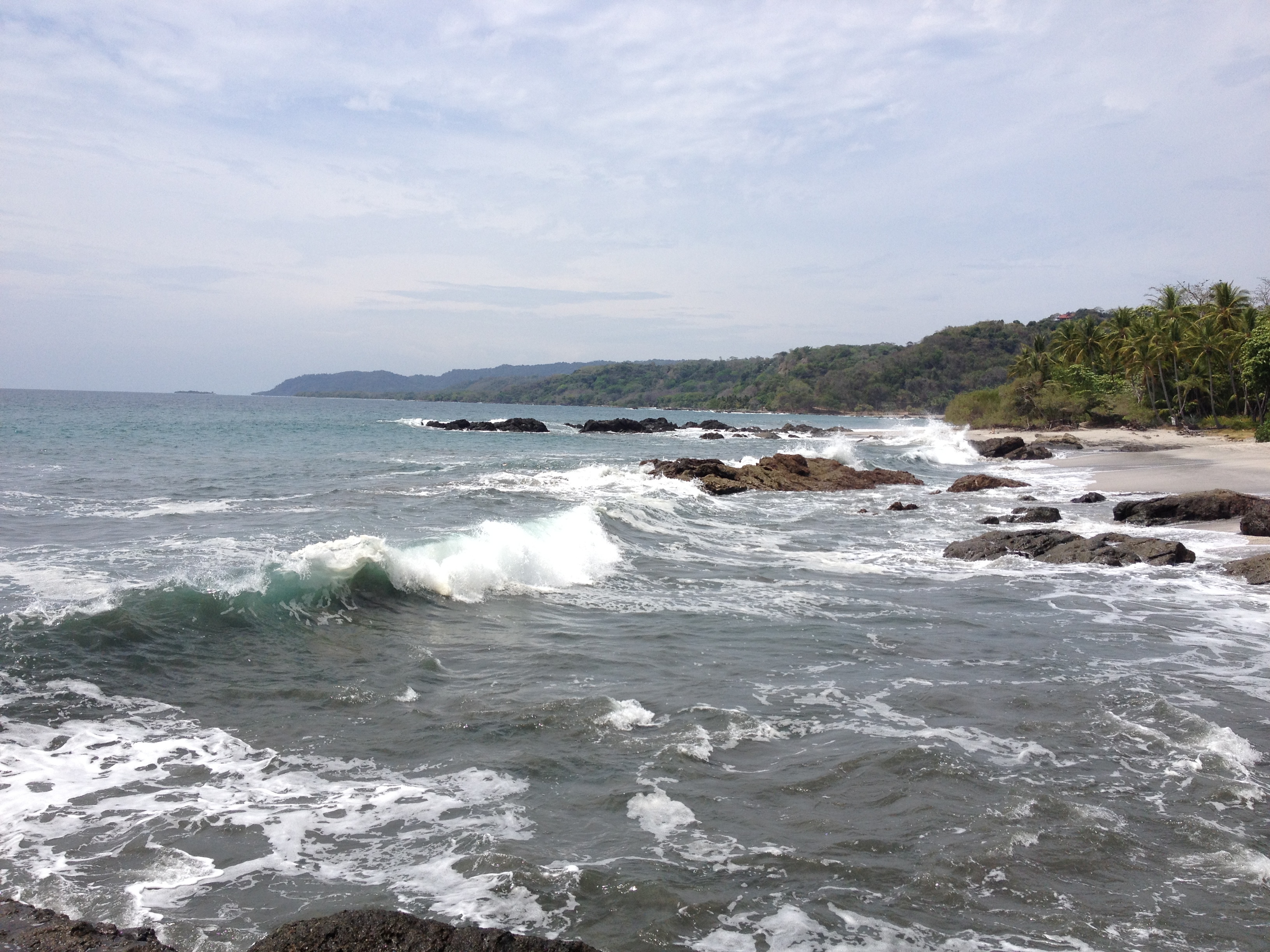 รูปถ่าย คอสตาริกา(Costa Rica) มอนเตซูมา(Montezuma) 2015-03 575