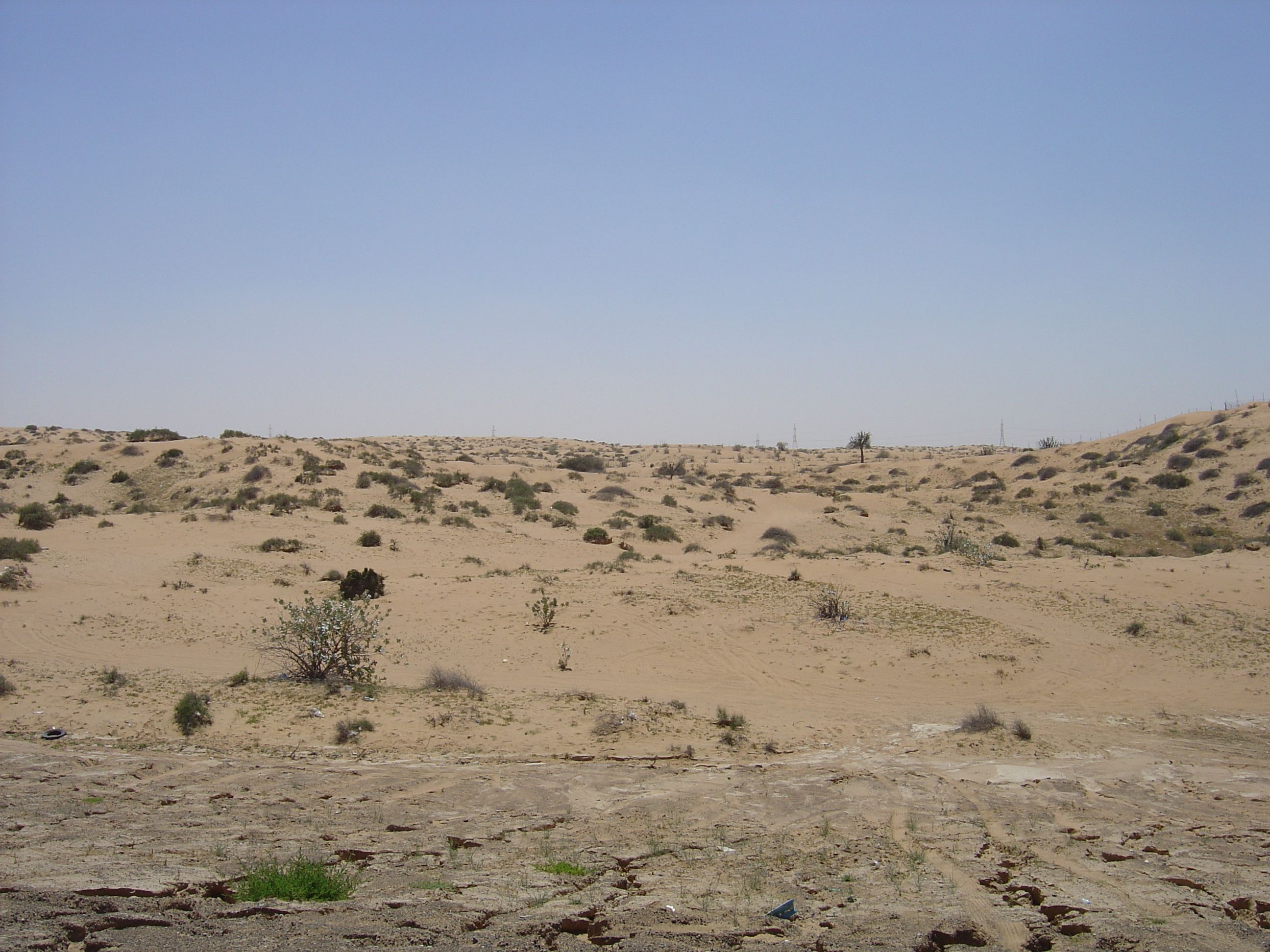 รูปถ่าย สหรัฐอาหรับเอมิเรตส์(United Arab Emirates) ถนนใกล้อาจแมน(Road near Ajman) 2005-03 3