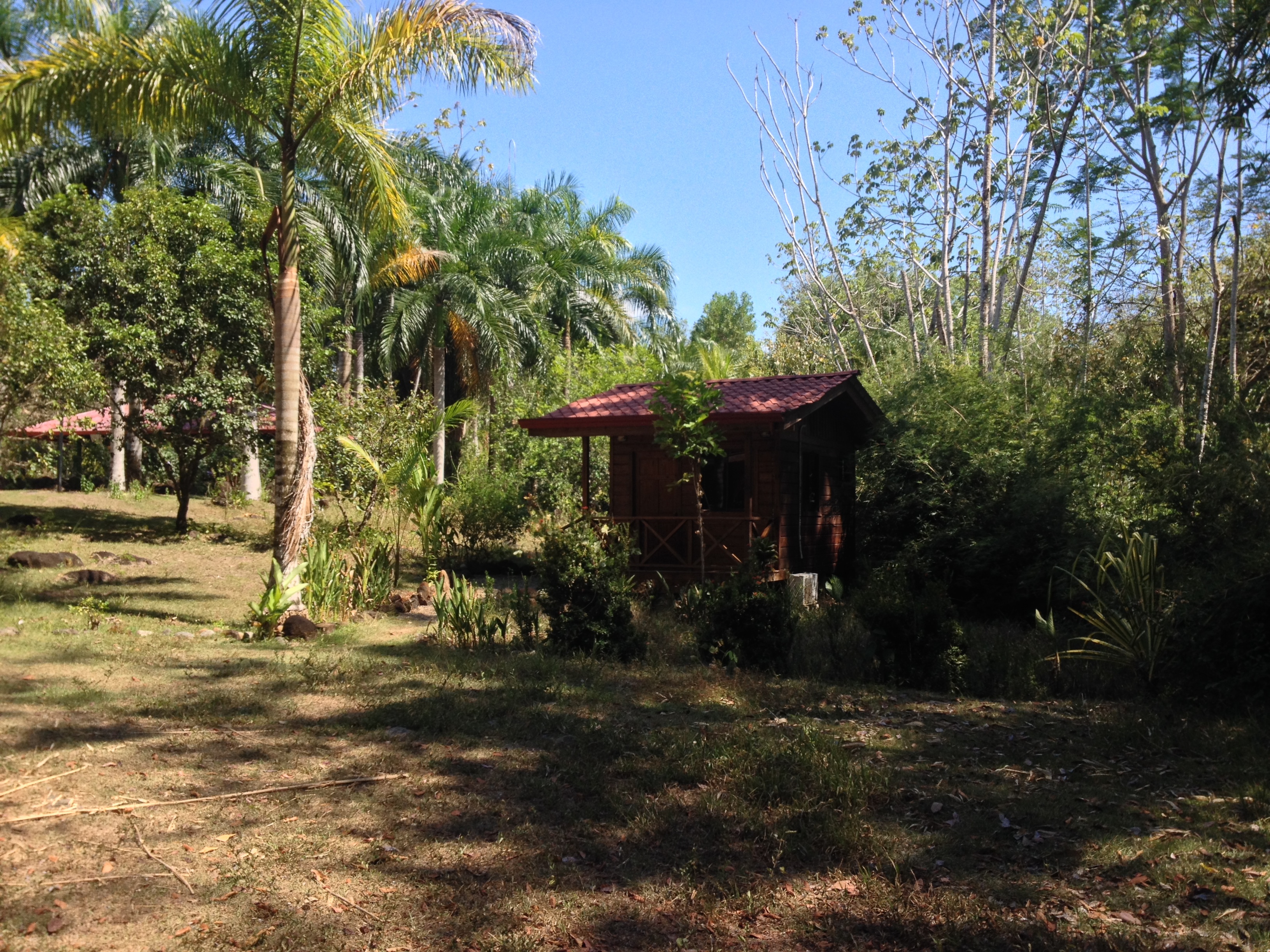 รูปถ่าย คอสตาริกา(Costa Rica) อูบีตา(Uvita) 2015-03 49