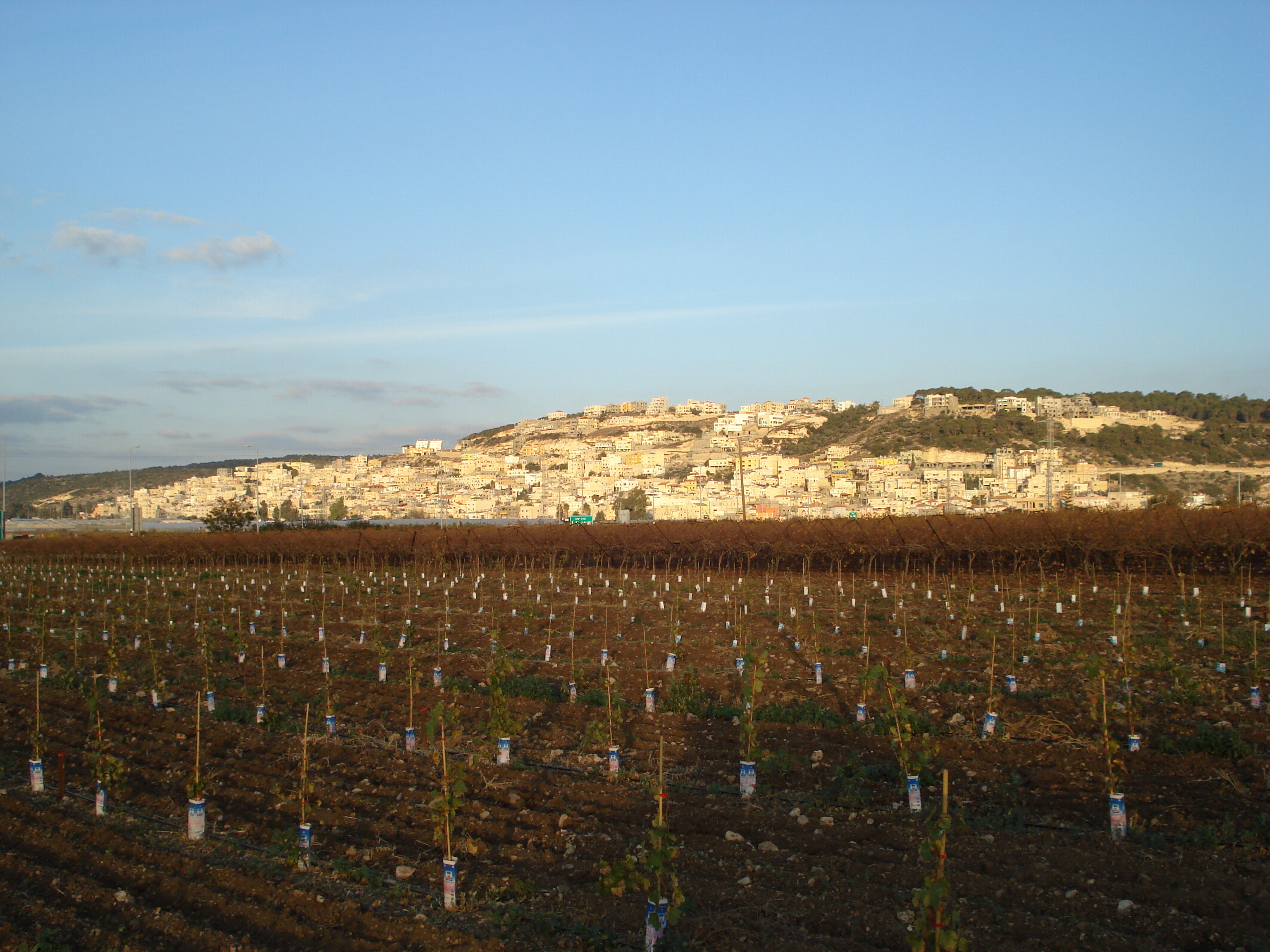 รูปถ่าย อิสราเอล(Israel) จากไฮฟาไปเทลอาวีฟ(From Haifa to Tel Aviv) 2006-12 46