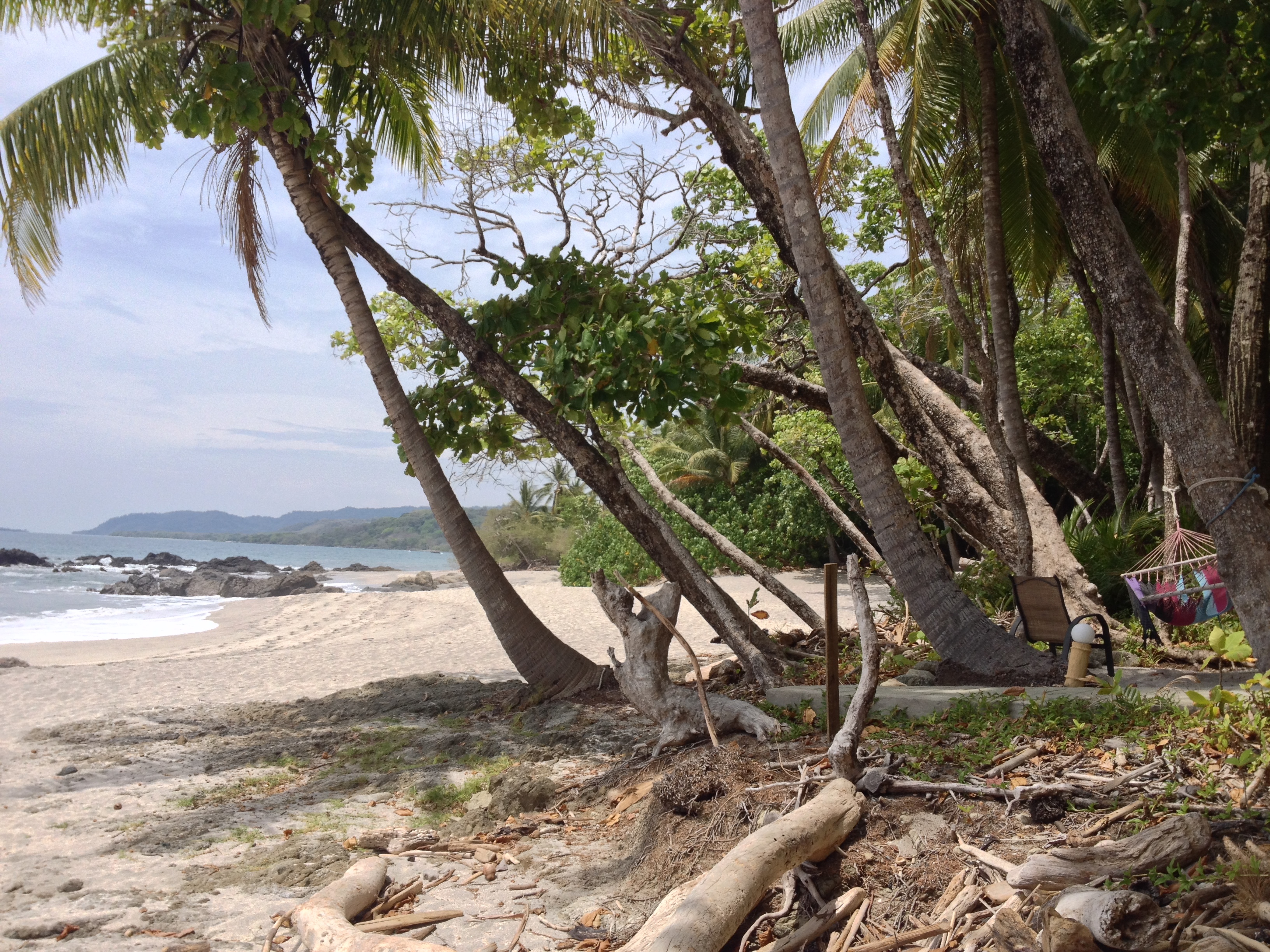 รูปถ่าย คอสตาริกา(Costa Rica) มอนเตซูมา(Montezuma) 2015-03 502