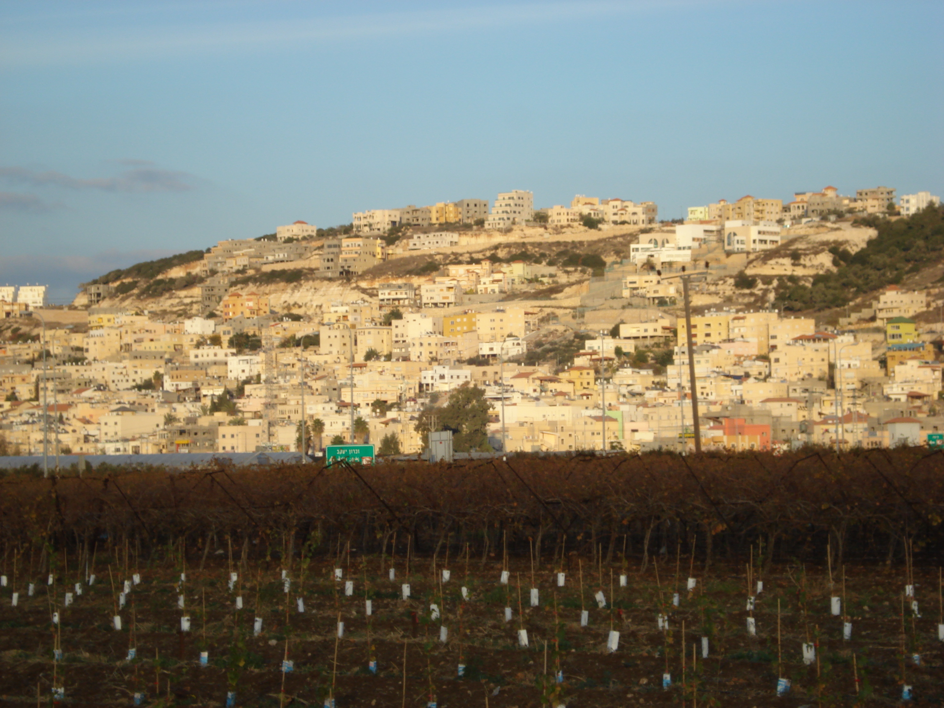 รูปถ่าย อิสราเอล(Israel) จากไฮฟาไปเทลอาวีฟ(From Haifa to Tel Aviv) 2006-12 52