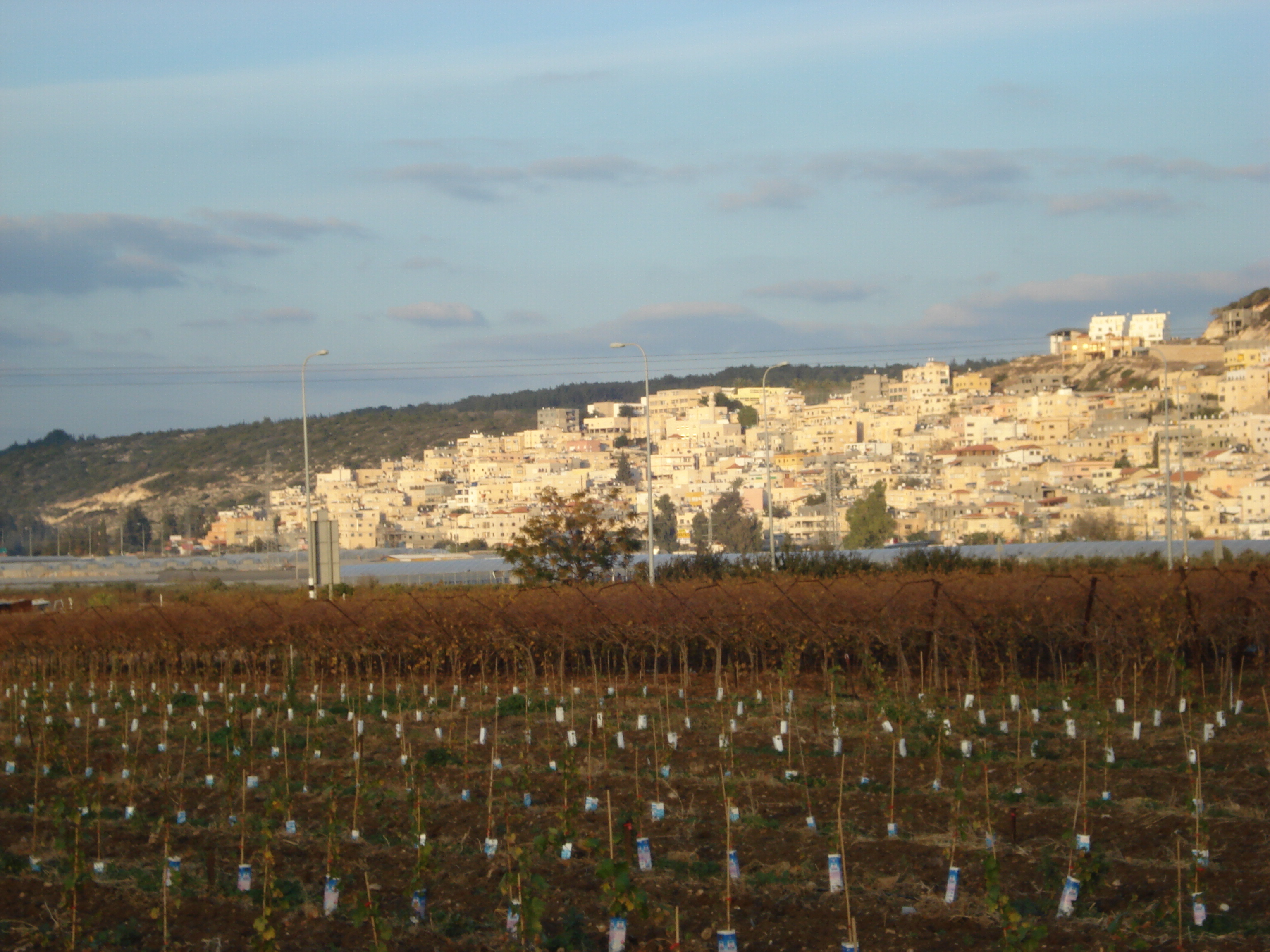 รูปถ่าย อิสราเอล(Israel) จากไฮฟาไปเทลอาวีฟ(From Haifa to Tel Aviv) 2006-12 40