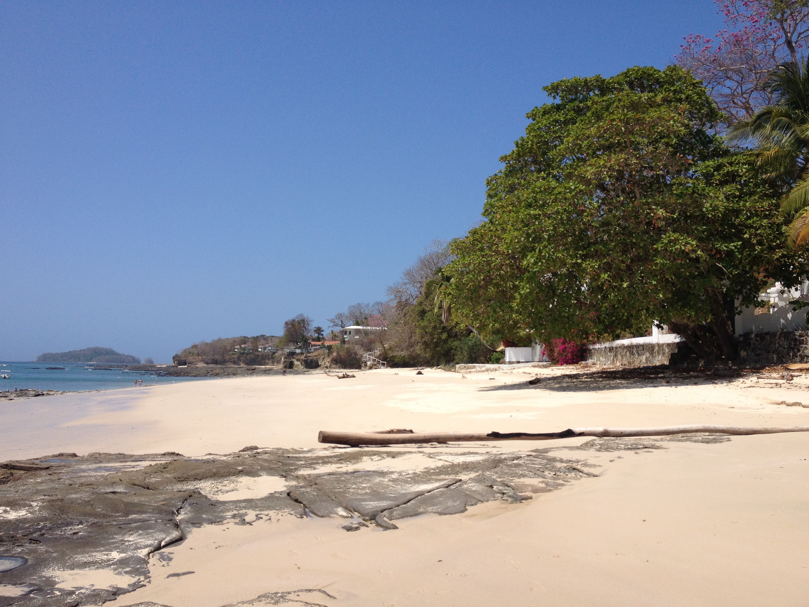 รูปถ่าย ปานามา(Panama) เกาะคอนตาโดรา(Contadora Island) 2015-03 125