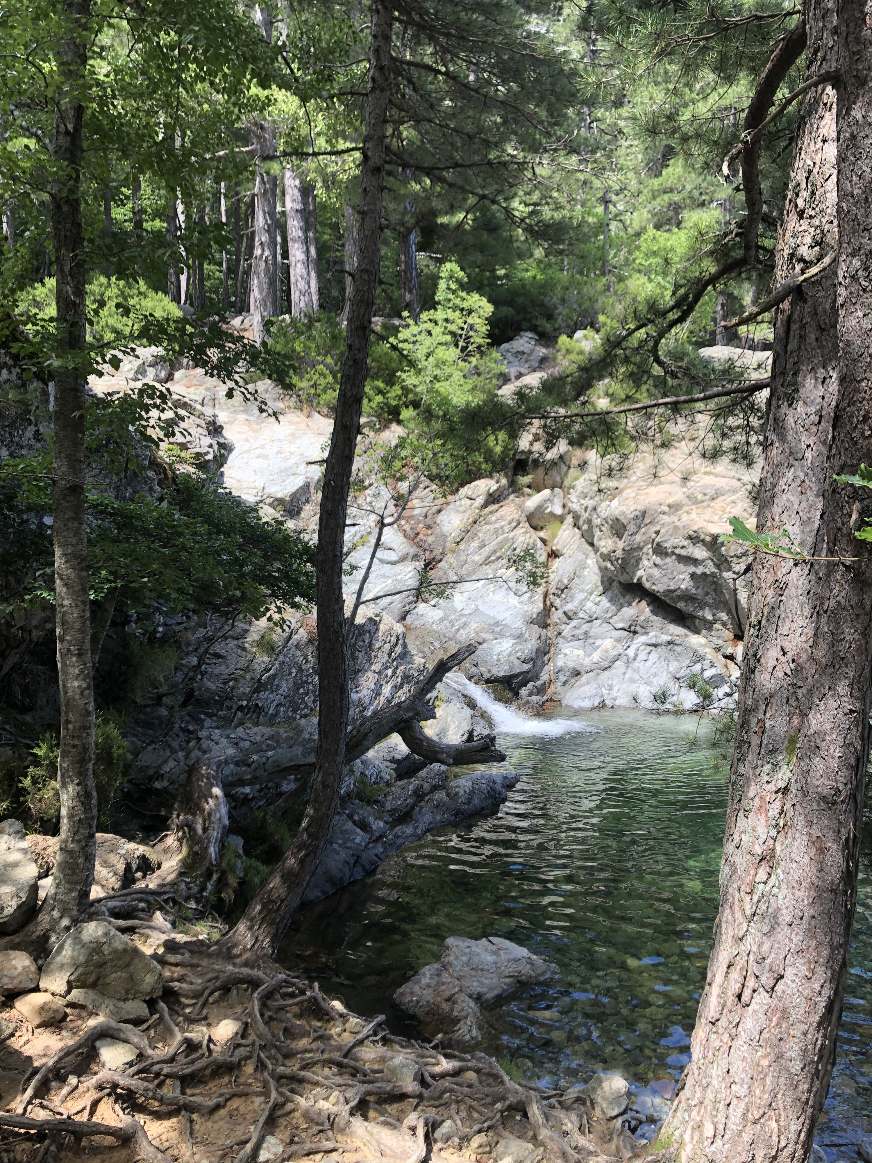 รูปถ่าย ฝรั่งเศส(France) คอร์สิคา(Corsica) น้ำตกเดซองเกล(Cascade des Anglais) 2020-07 20