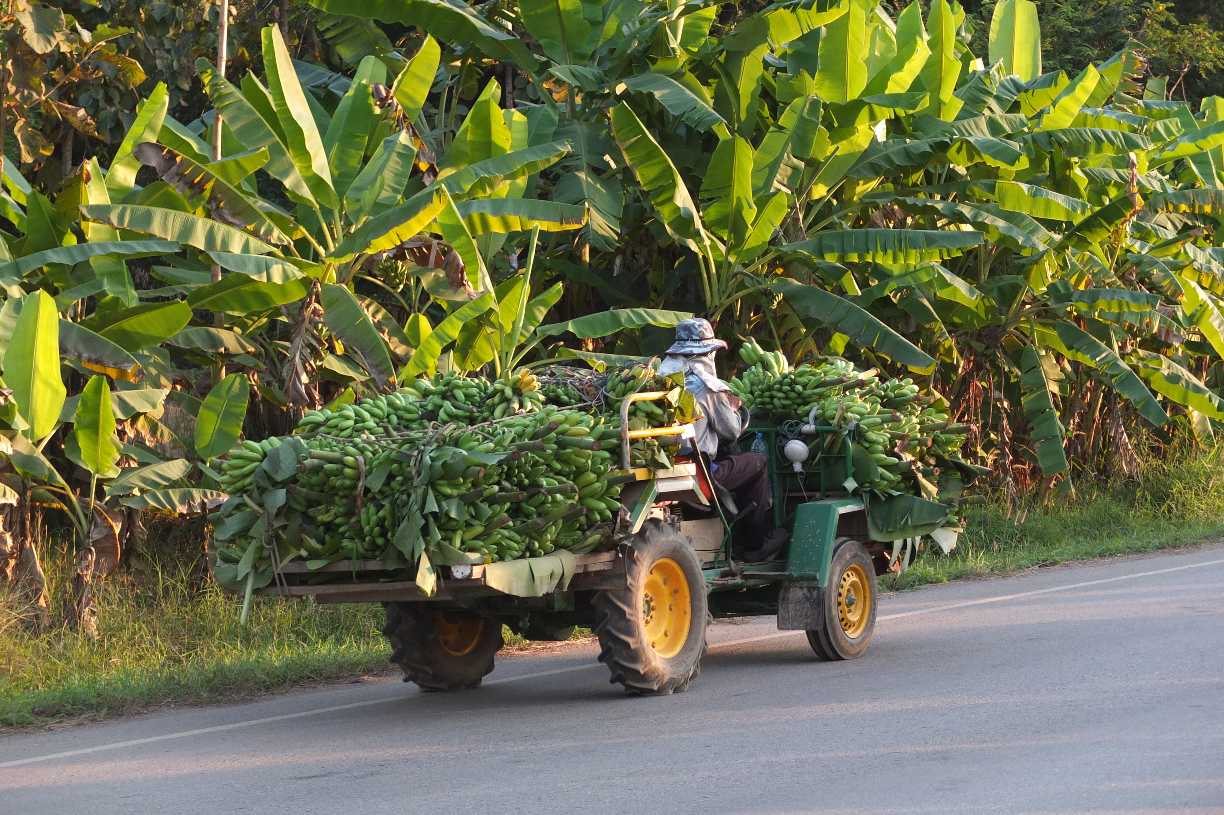 รูปถ่าย ไทย(Thailand) แม่น้ำโขง(Mekong river) 2012-12 180