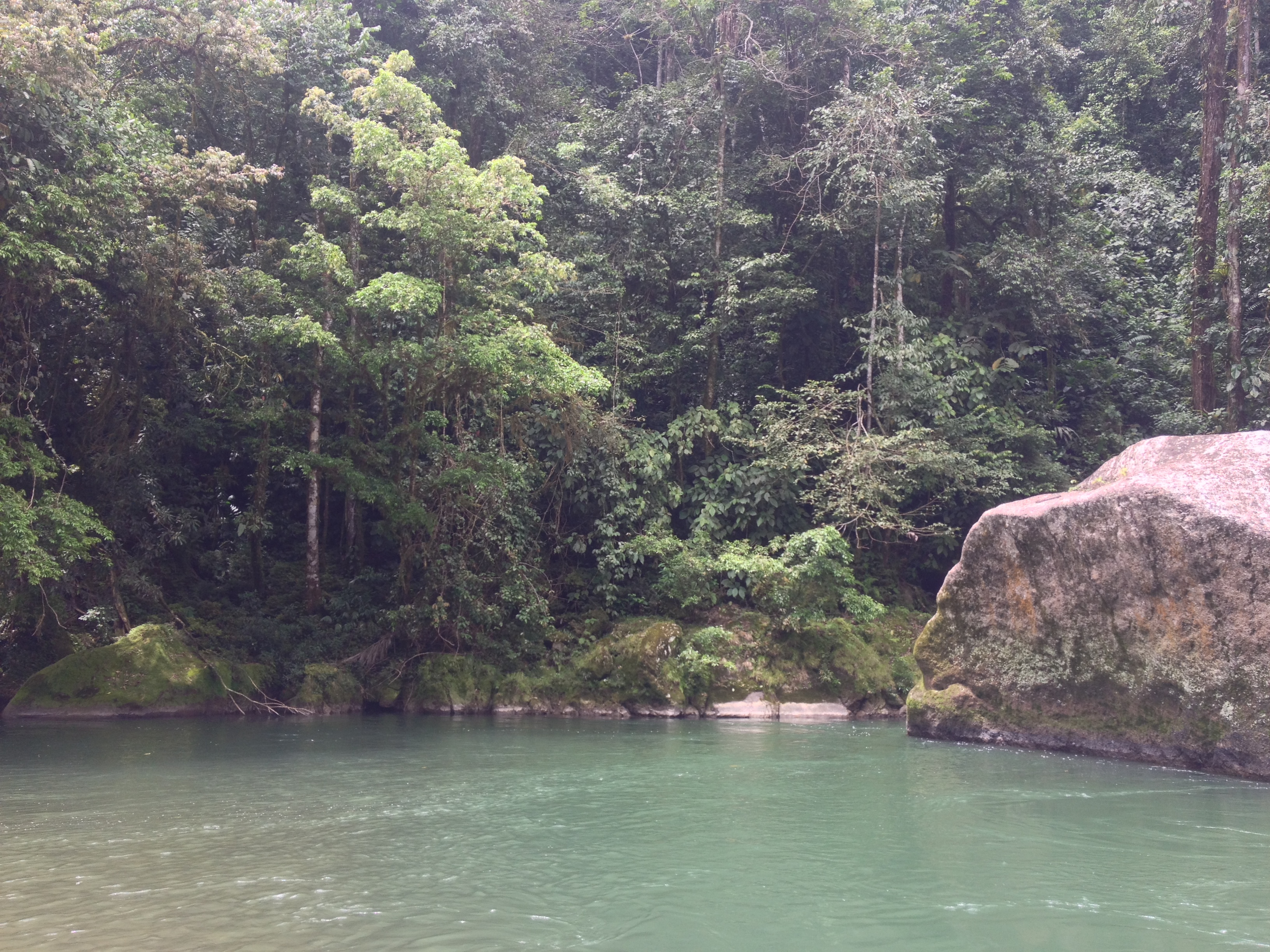 รูปถ่าย คอสตาริกา(Costa Rica) แม่น้ำปากัวเร(Pacuare River) 2015-03 197
