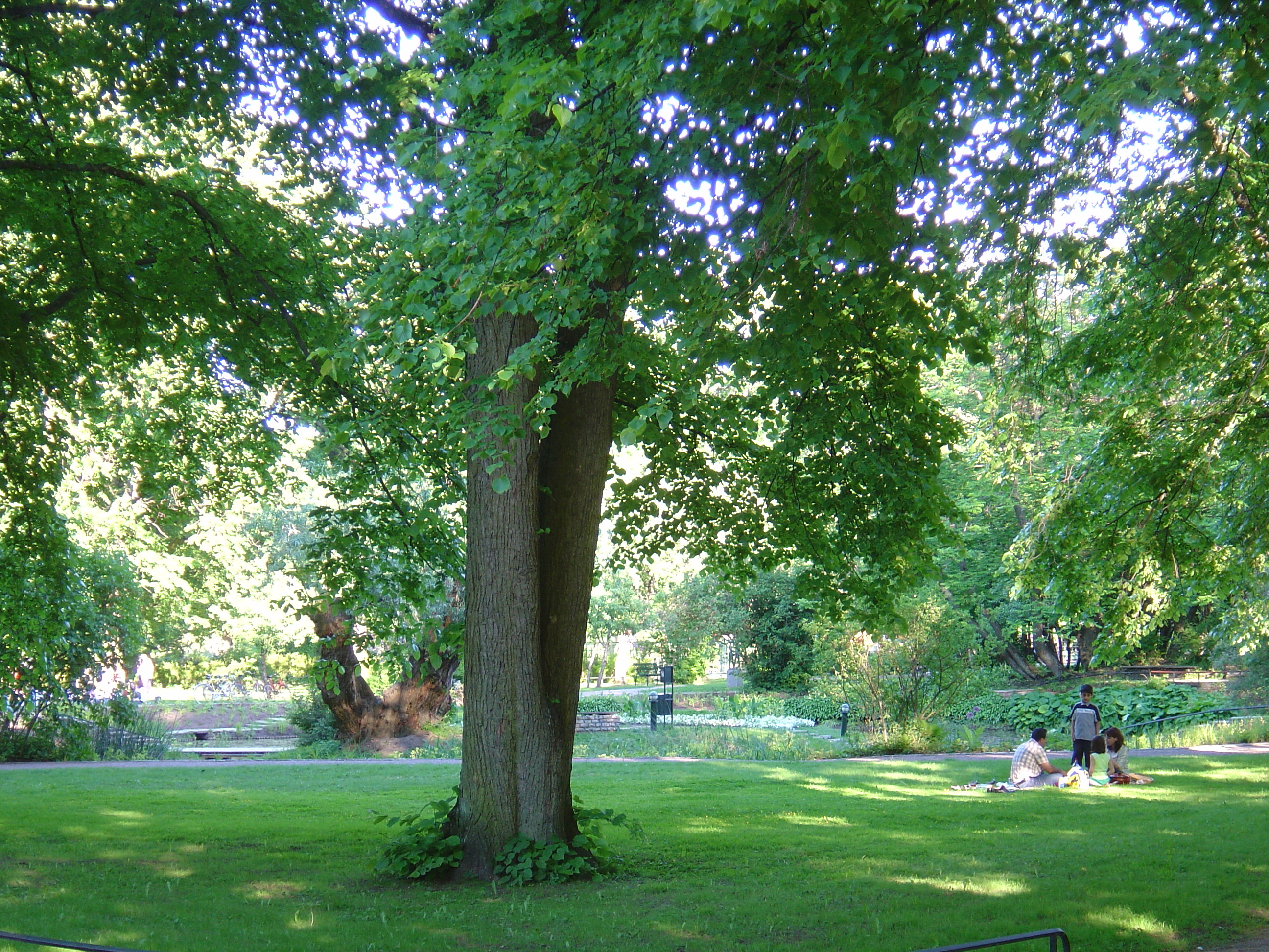 รูปถ่าย สวีเดน(Sweden) อัปป์ซาลา(Uppsala) 2005-06 13