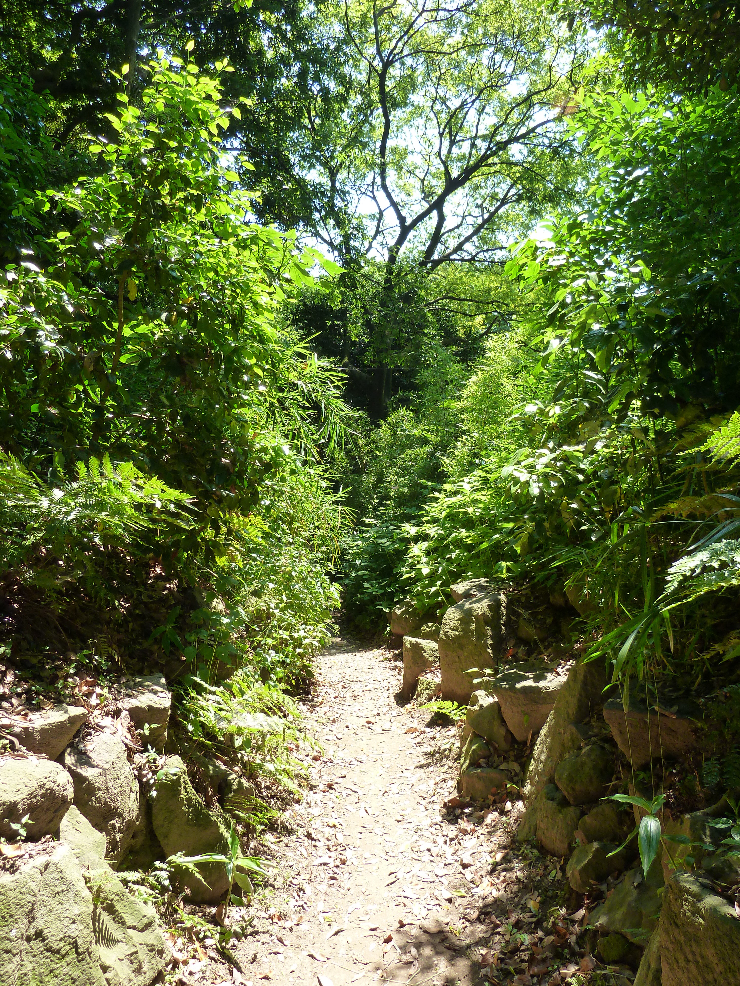 รูปถ่าย ญี่ปุ่น(Japan) โตเกียว(Tokyo) สวนฮามะริคิว(Hama rikyu Gardens) 2010-06 10