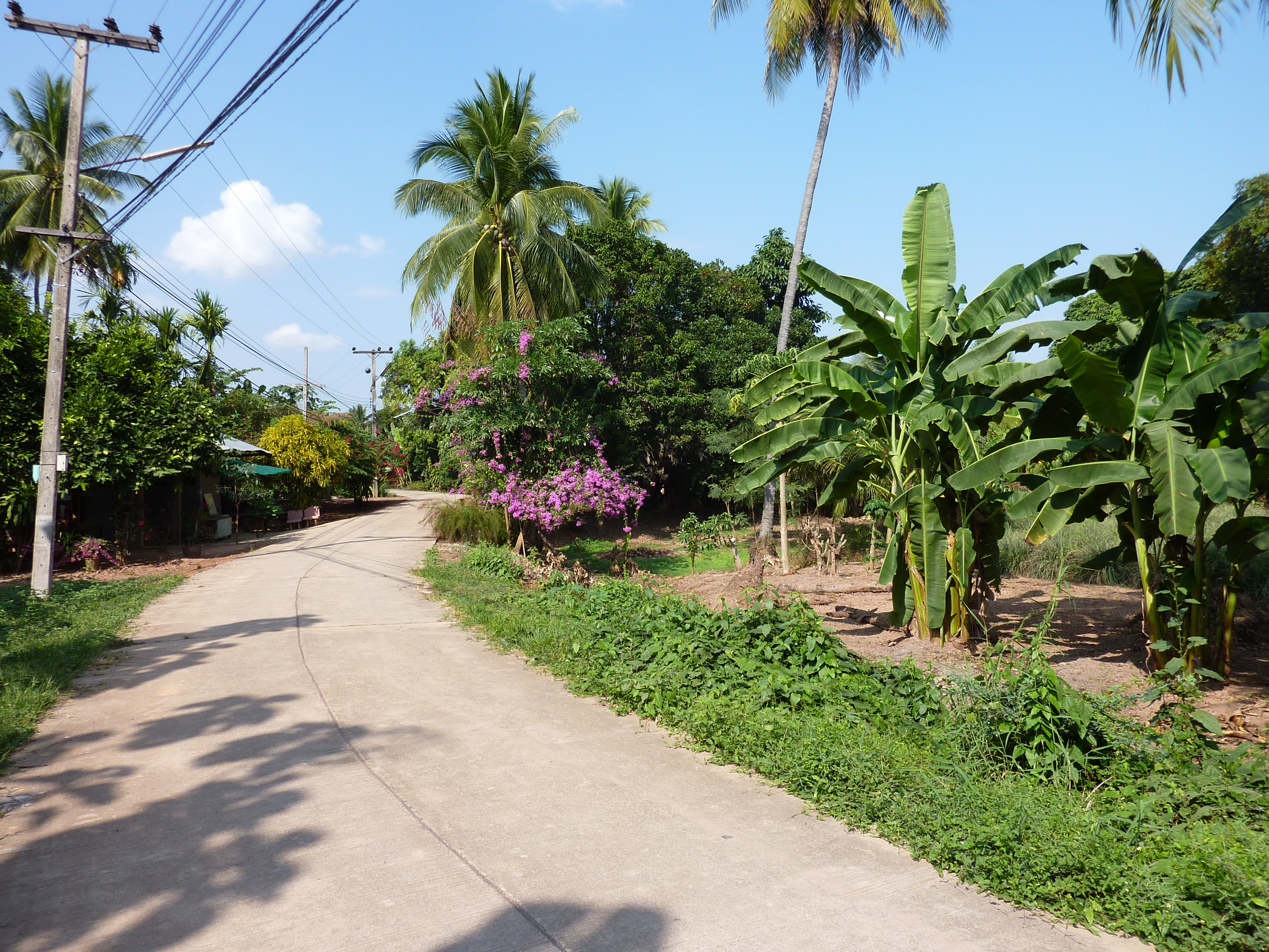 รูปถ่าย ไทย(Thailand) พิษณุโลก(Phitsanulok) จอมทอง(Chom Thong) 2009-12 20