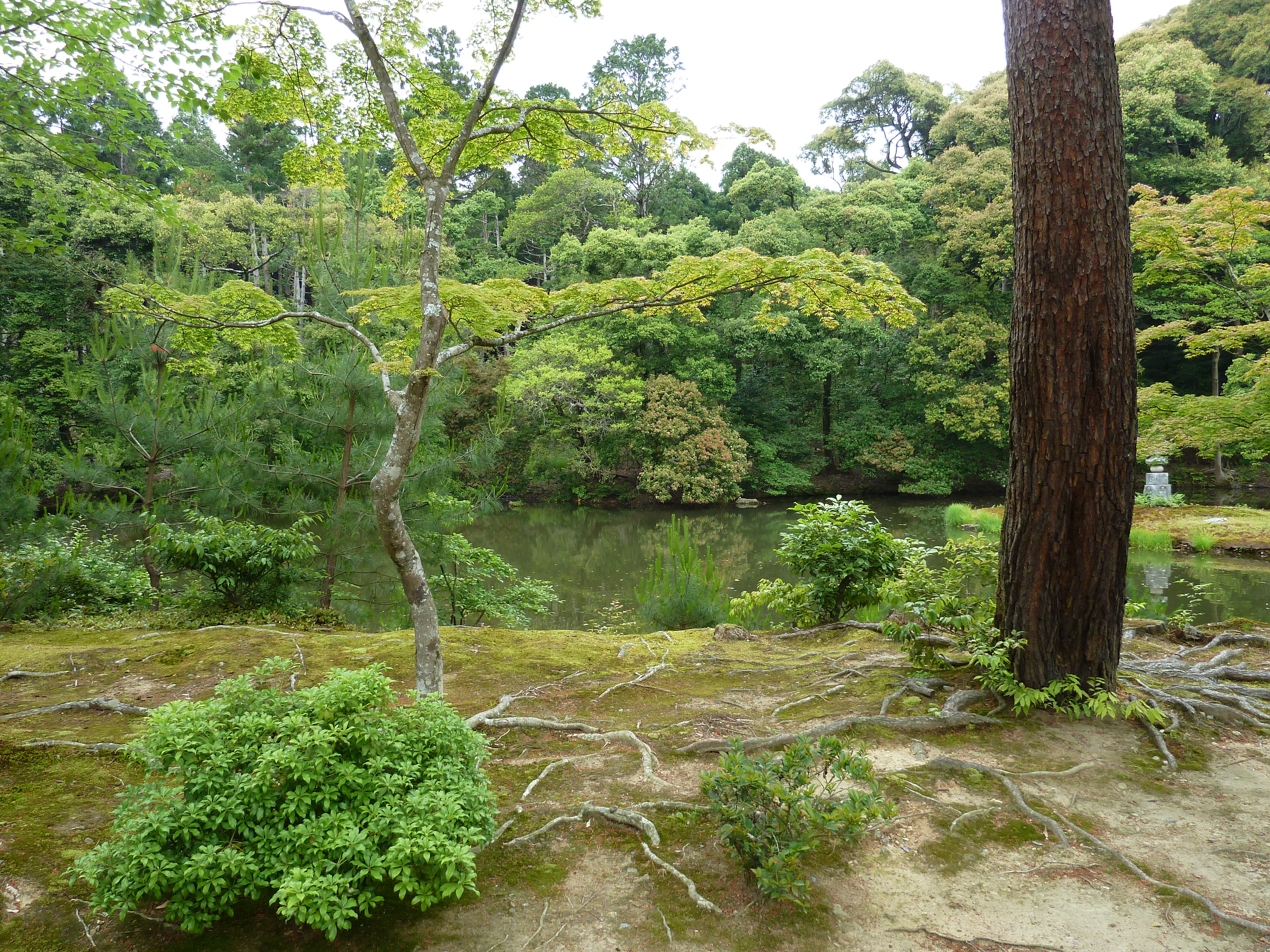 รูปถ่าย ญี่ปุ่น(Japan) เกียวโต(Kyoto) วัดคินกะกุจิ (ศาลาทอง)(Kinkakuji Temple(Golden Pavilion)) 2010-06 42