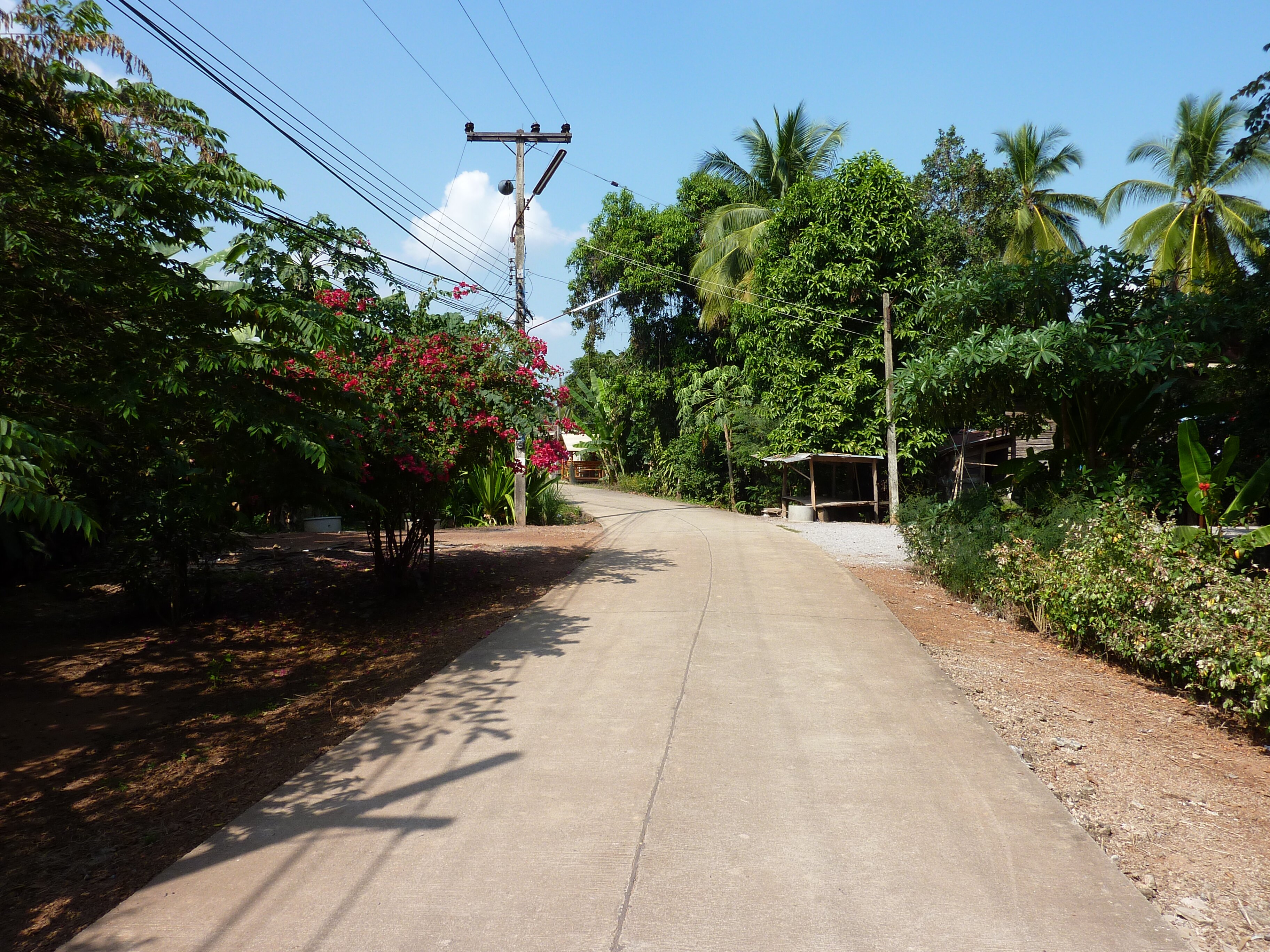 รูปถ่าย ไทย(Thailand) พิษณุโลก(Phitsanulok) จอมทอง(Chom Thong) 2009-12 11