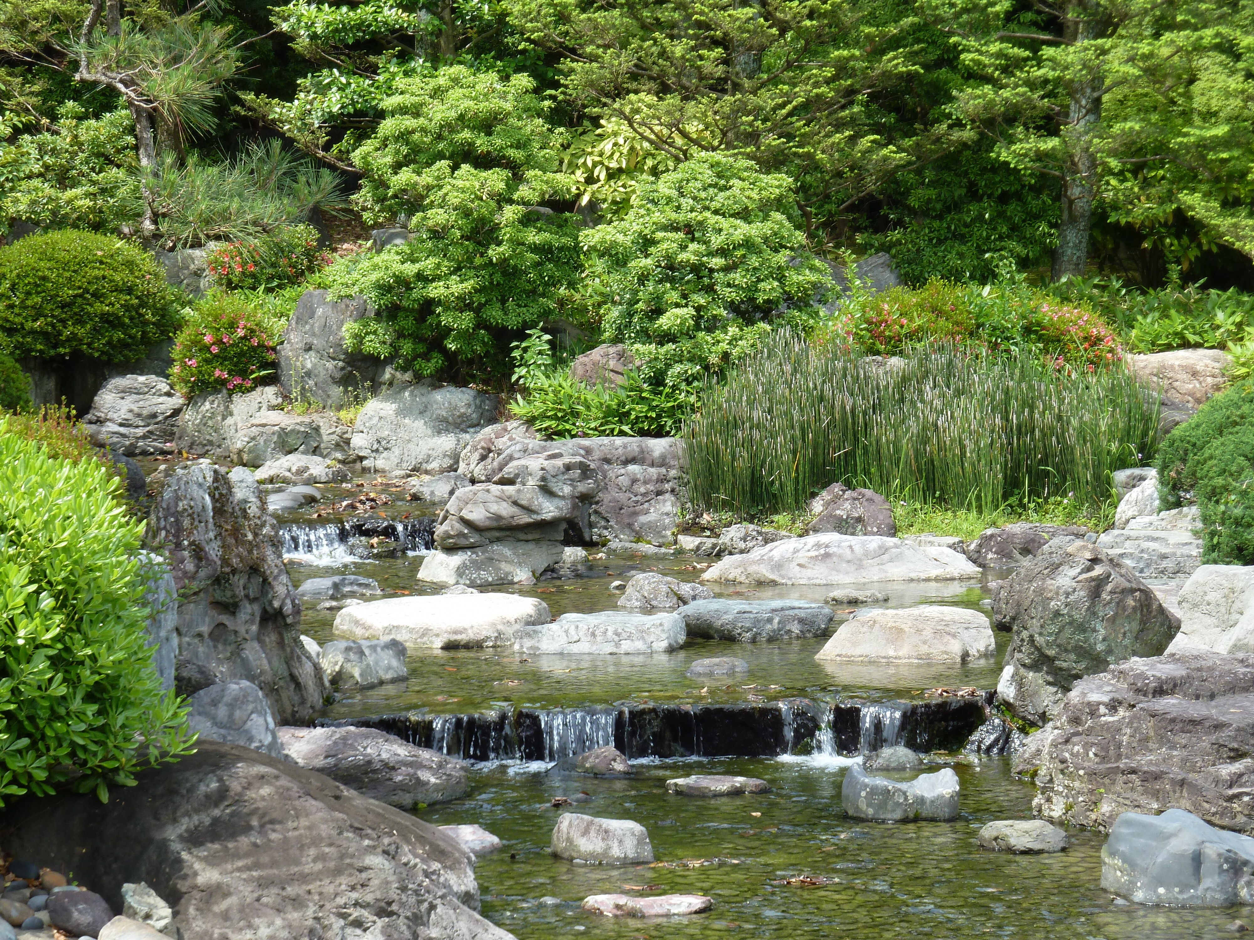 รูปถ่าย ญี่ปุ่น(Japan) เกียวโต(Kyoto) ปราสาทนิโจ(Nijo Castle) 2010-06 45