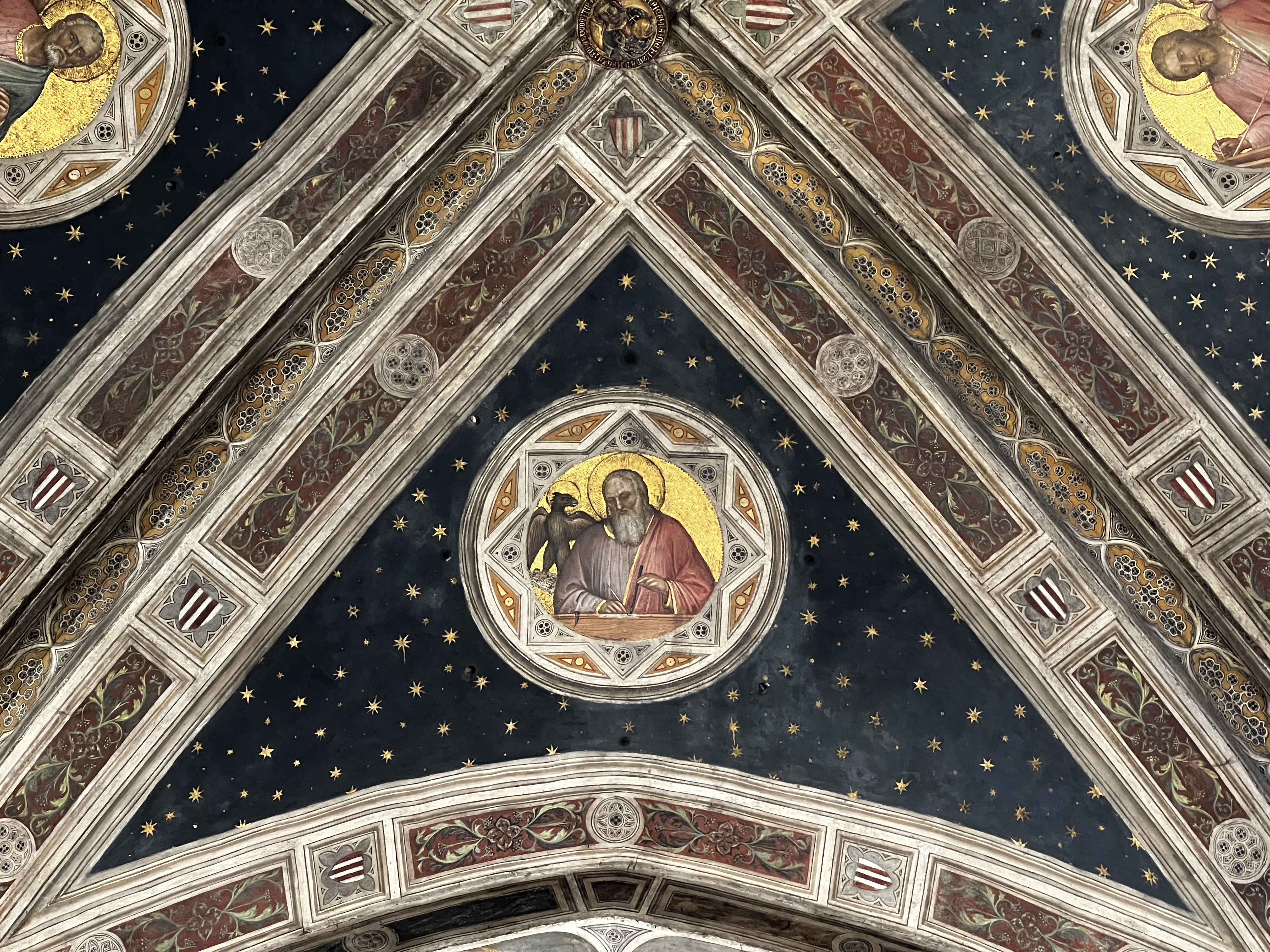 รูปถ่าย อิตาลี(Italy) ปาโดวา(Padua) 2022-05 154