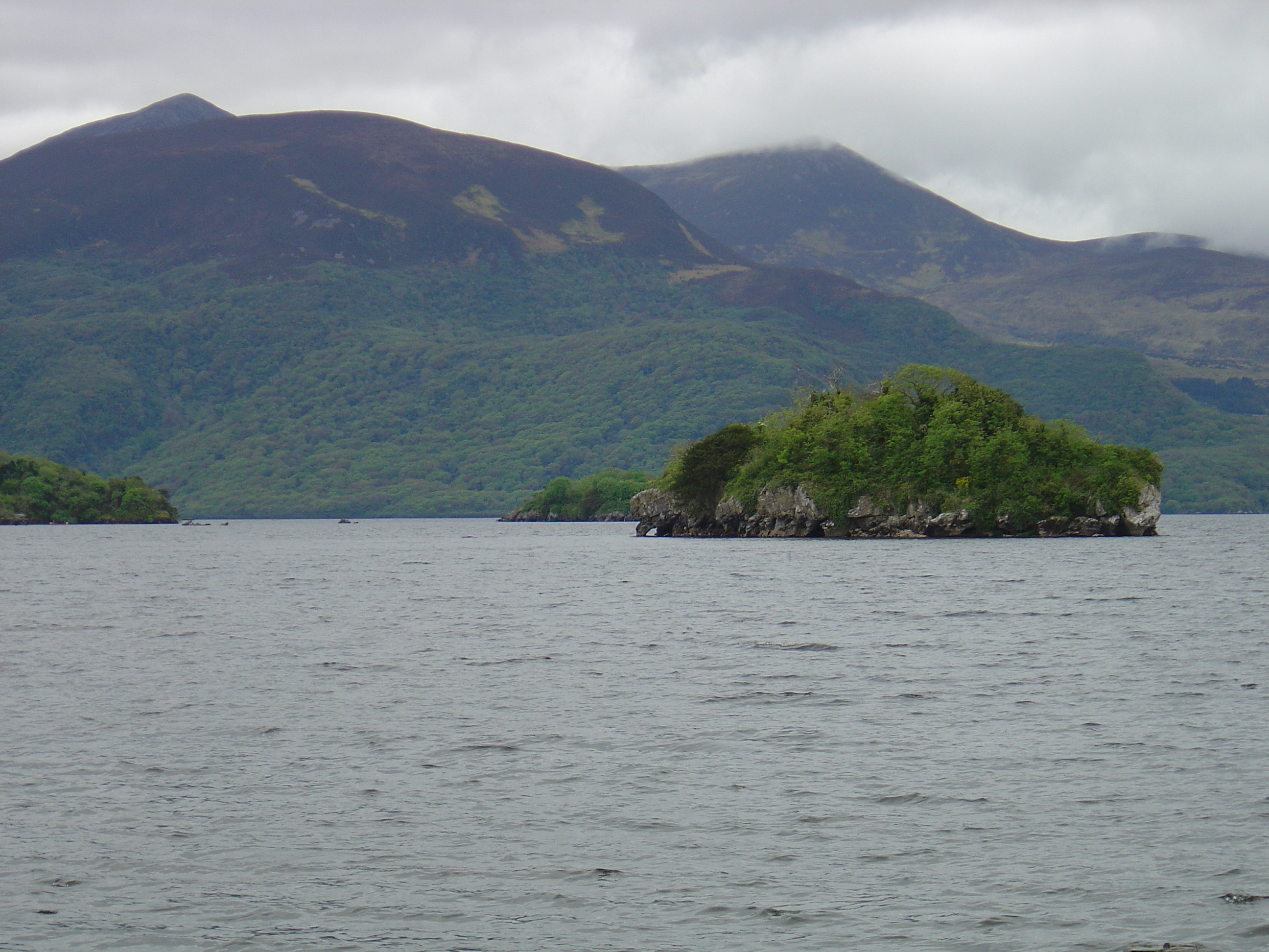รูปถ่าย ไอร์แลนด์(Ireland) เคอร์รี่(Kerry) สวนสาธารณะคิลลาร์นีย์เนชั่นเนล(Killarney National Park) ทะเลสาบมัครอส(Muckross Lake) 2004-05 9