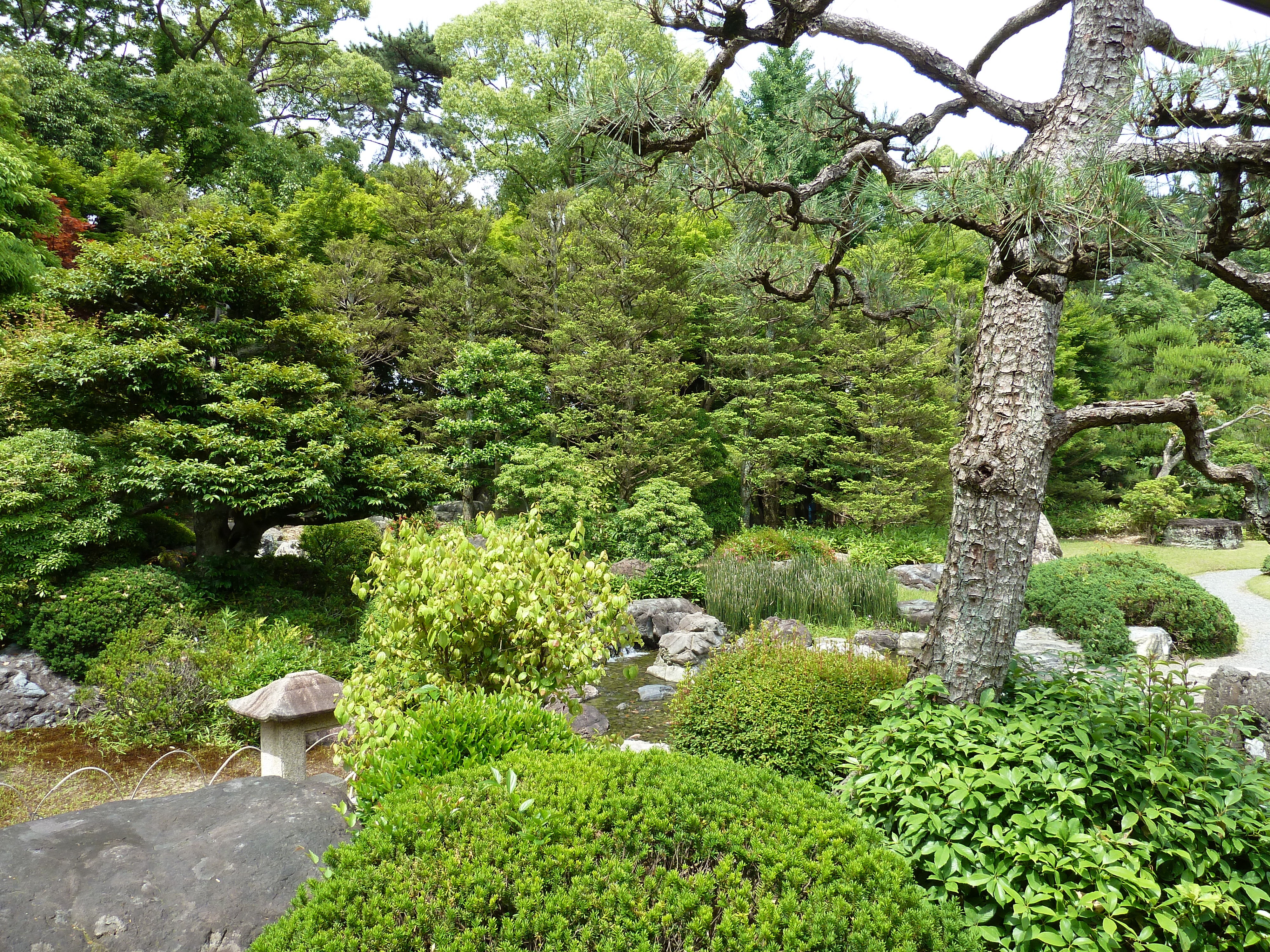 รูปถ่าย ญี่ปุ่น(Japan) เกียวโต(Kyoto) ปราสาทนิโจ(Nijo Castle) 2010-06 109
