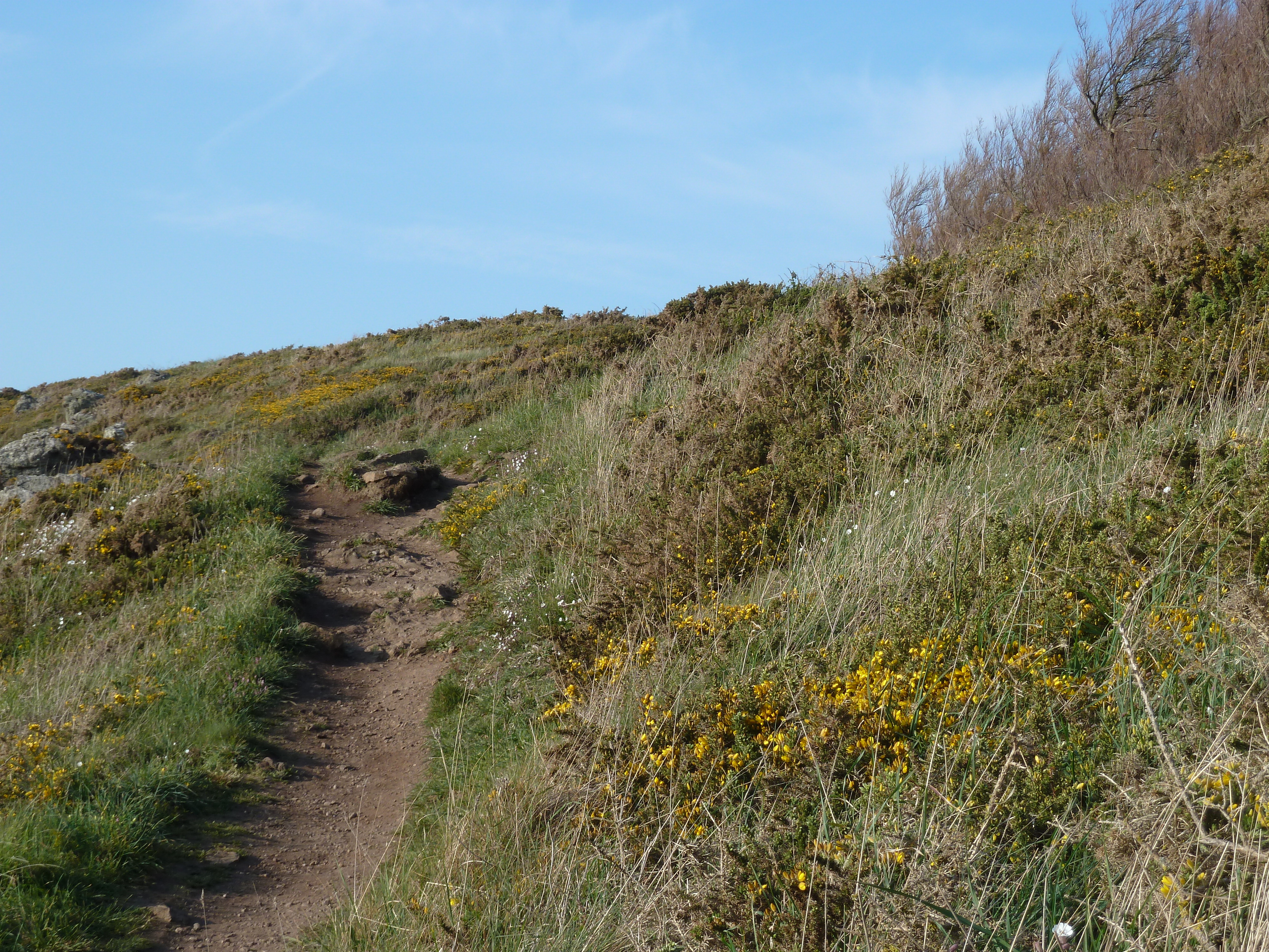 รูปถ่าย ฝรั่งเศส(France) แซ็งกูลง(St Coulomb) 2010-04 41
