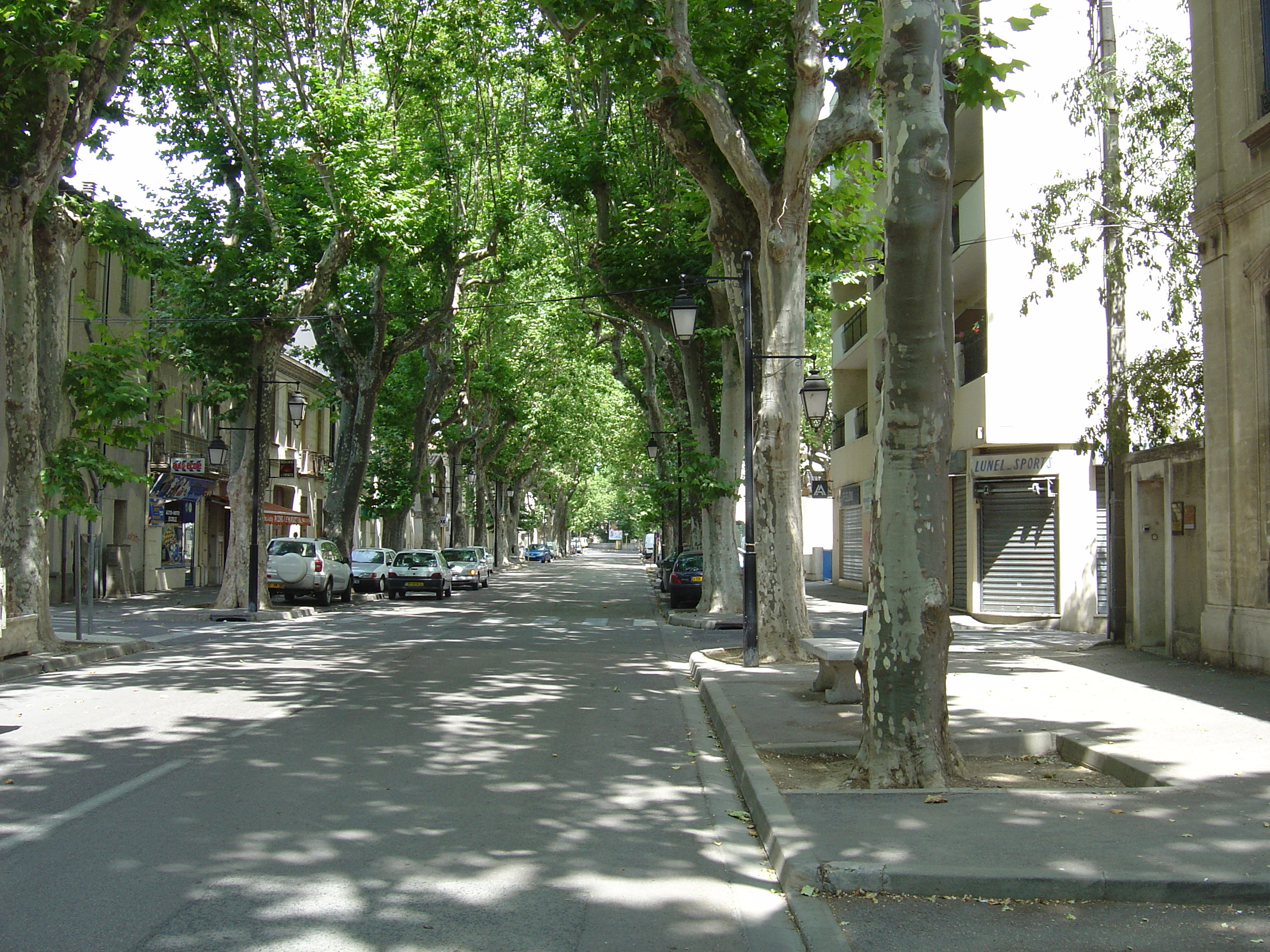 รูปถ่าย ฝรั่งเศส(France) ลูเนล(Lunel) 2004-08 17