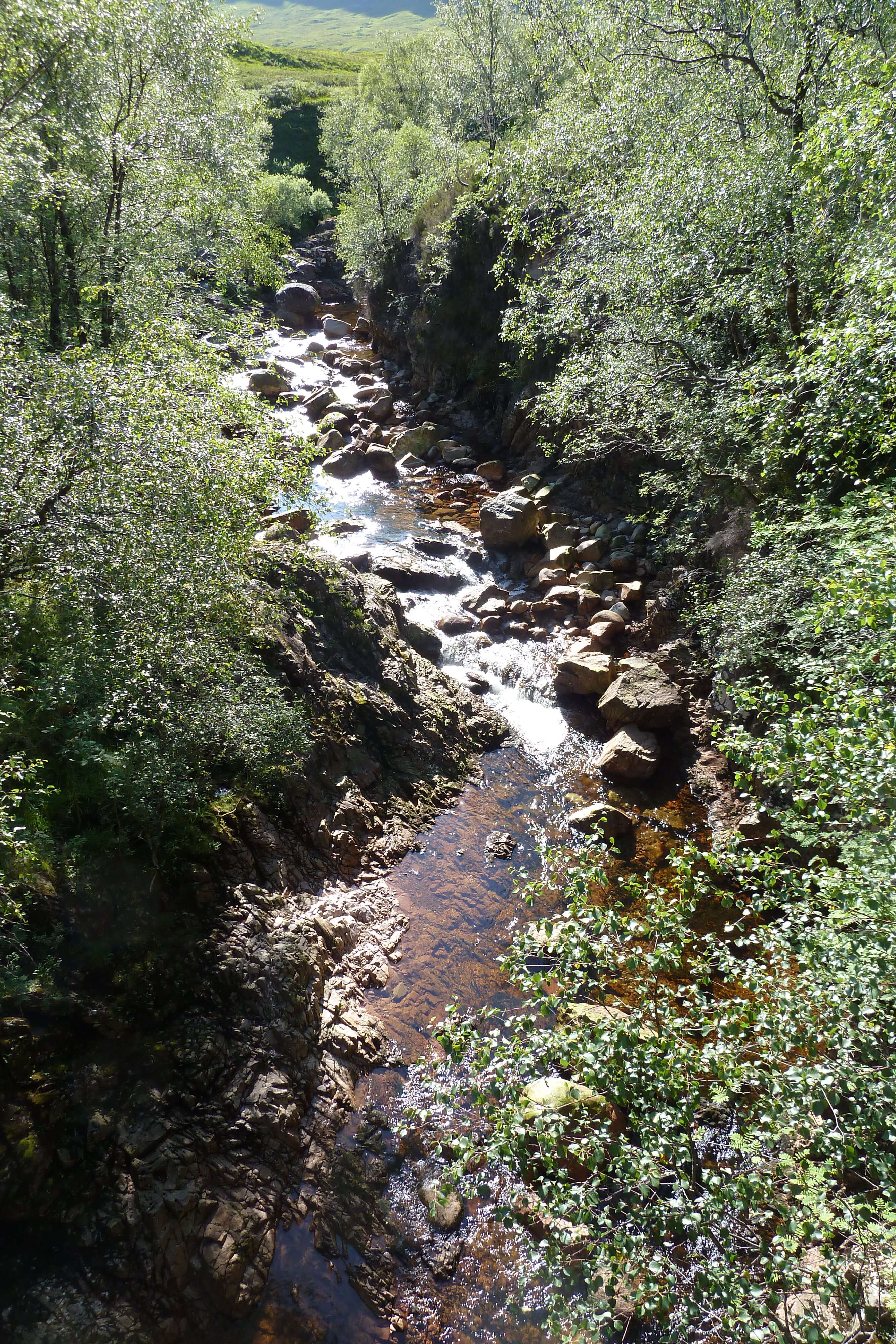 รูปถ่าย อังกฤษ(United Kingdom) เกลนโค(Glen Coe) 2011-07 11